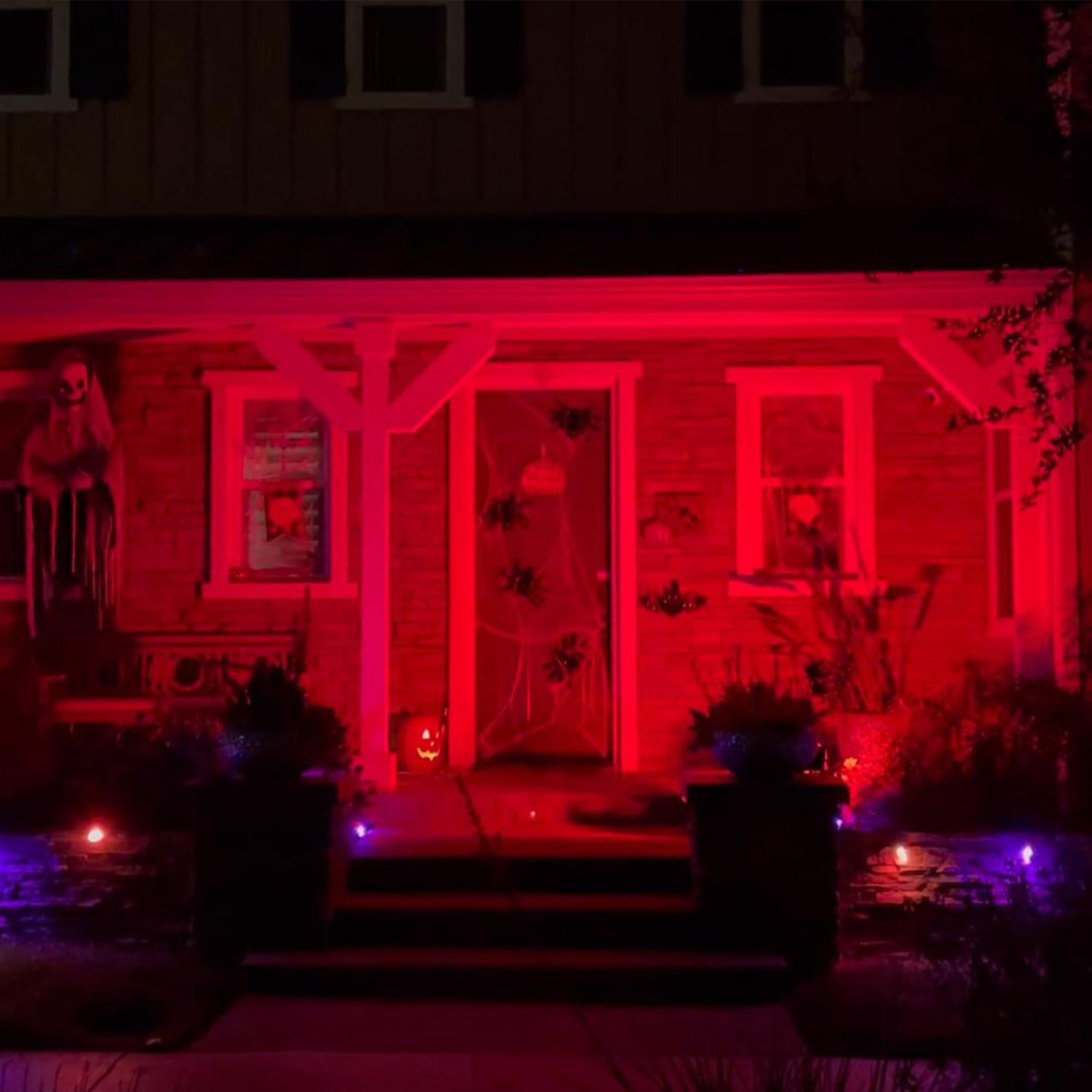 Feit A19 E26 (Medium) Filament LED Bulb Red 30 Watt Equivalence 1 pk