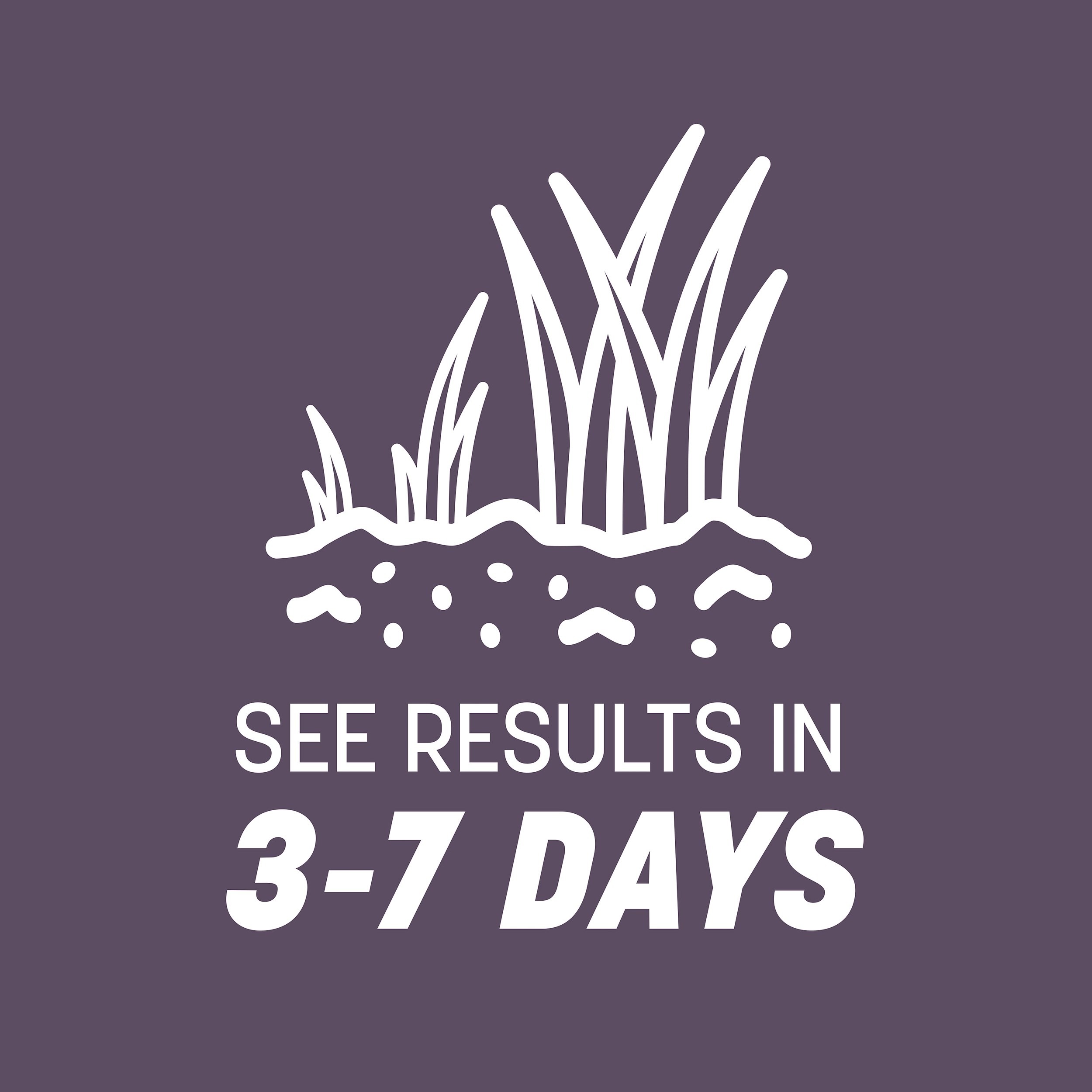 Pennington Annual Ryegrass Grass Seed 25 lb.