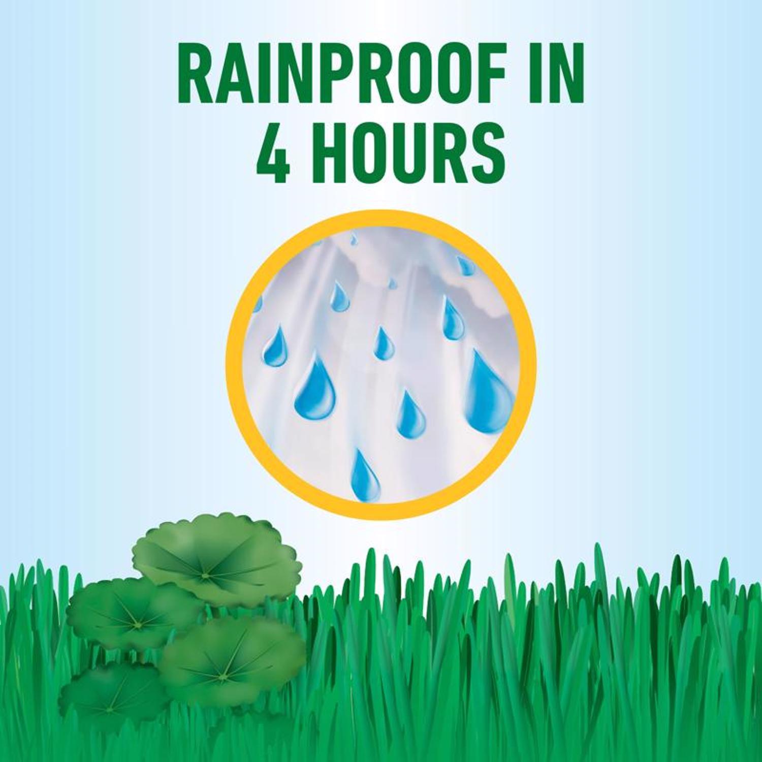 Roundup Weed Killer Refill RTU Liquid 1 gal