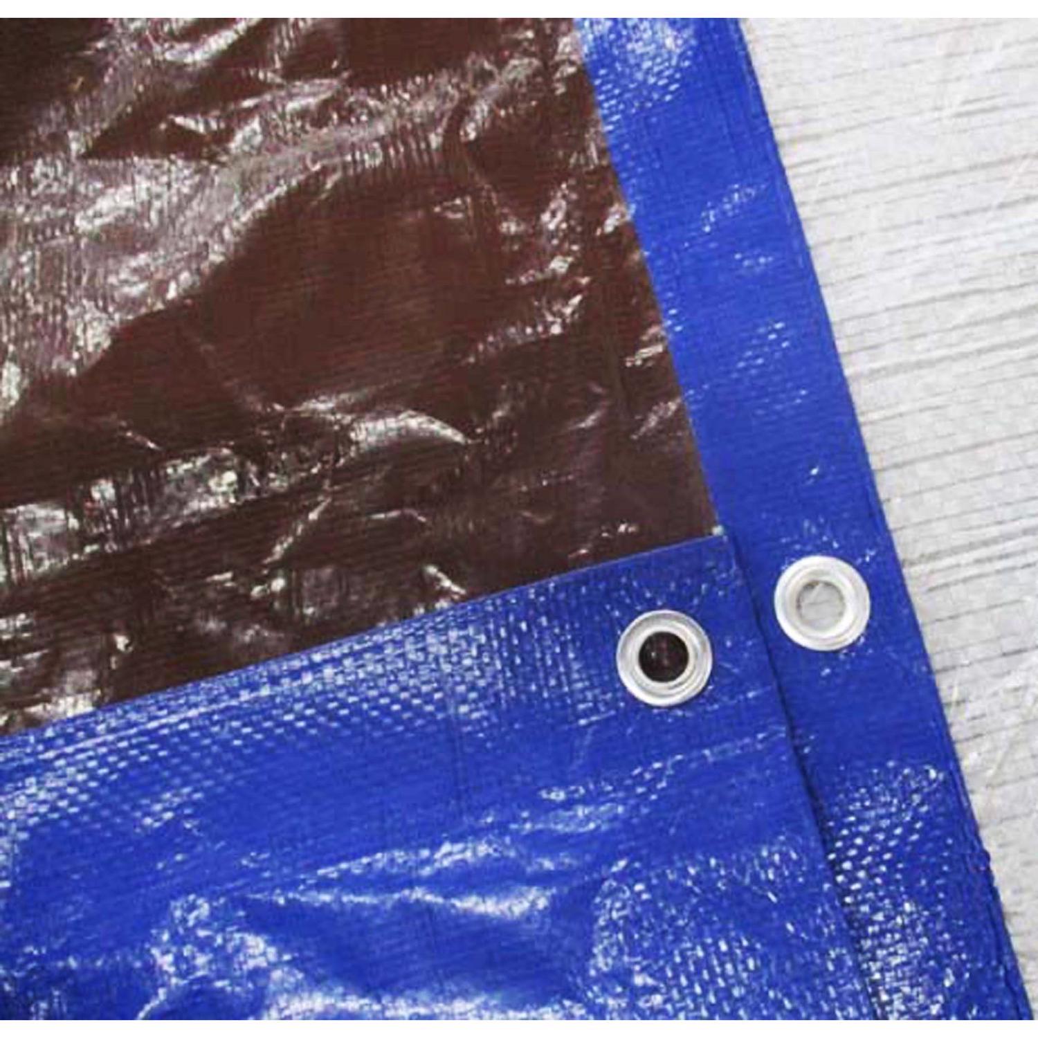 Ace 20 ft. W X 30 ft. L Medium Duty Polyethylene Tarp Blue/Brown
