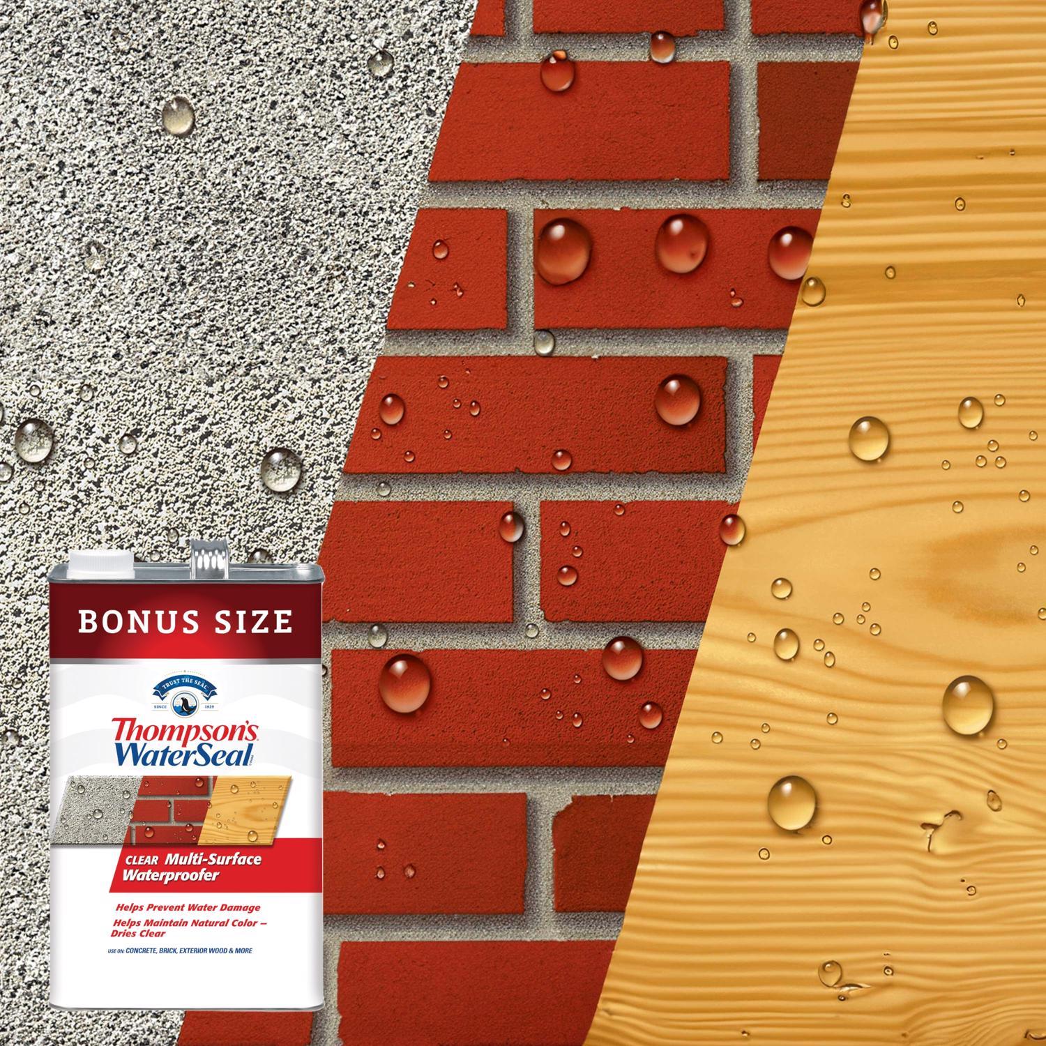 Thompson's WaterSeal Flat Clear Multi-Surface Waterproofer 1.2 gal