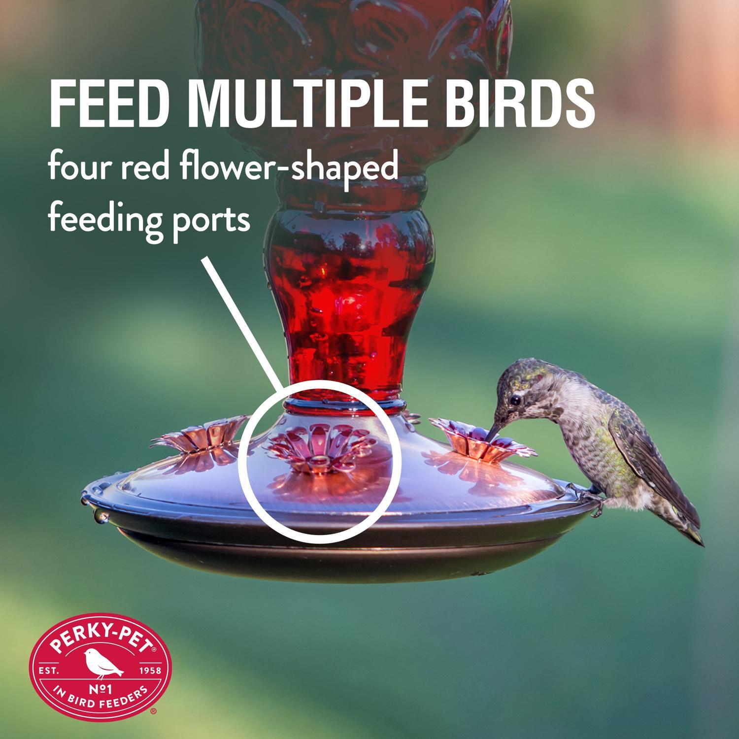 Perky-Pet Hummingbird 24 oz Copper/Glass Antique Bottle Nectar Bird Feeder 4 ports