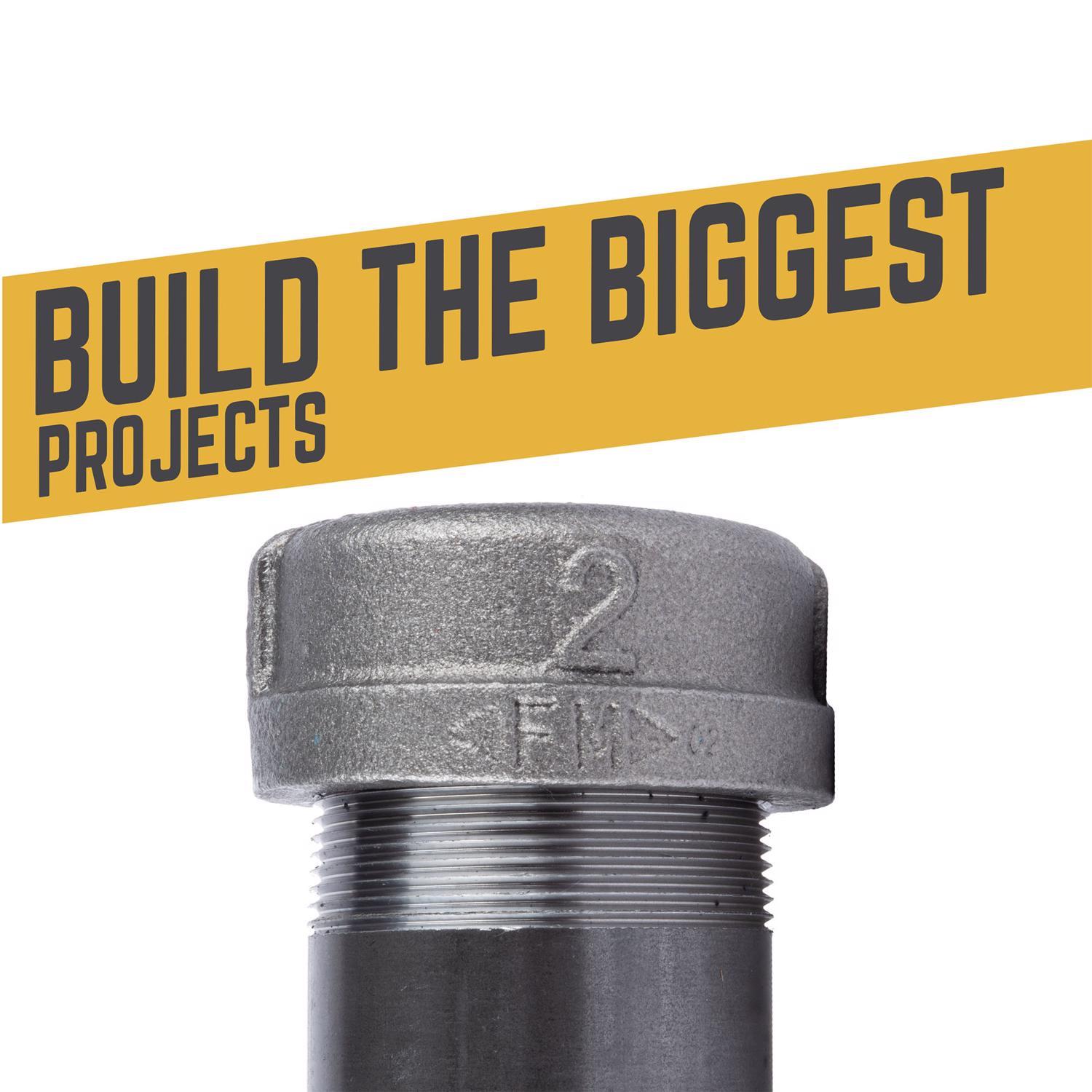 STZ Industries 2 in. FIP each Black Malleable Iron Cap