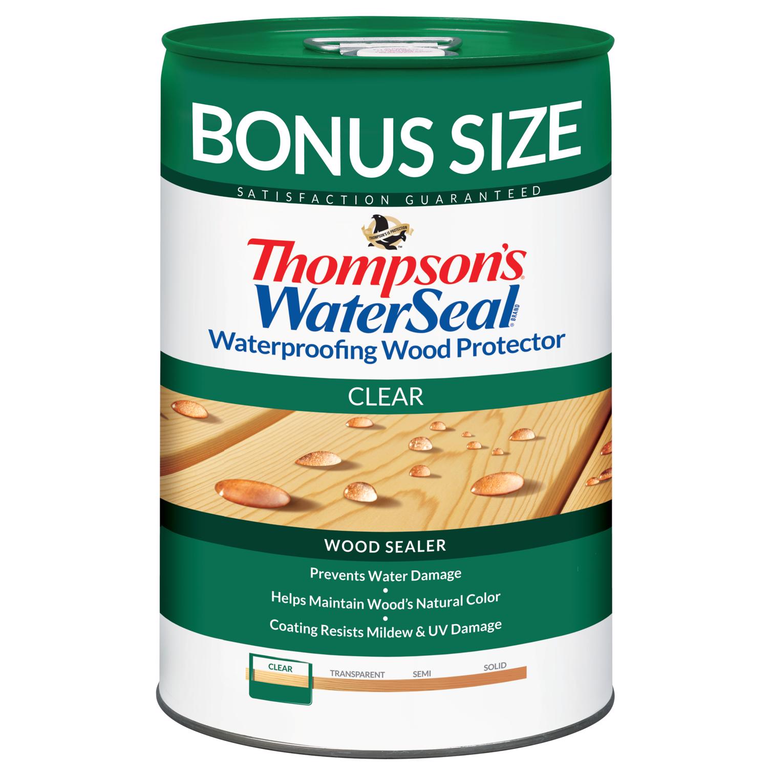 Thompson's WaterSeal Clear Wood Sealer Clear OilBased Wood Sealant 6