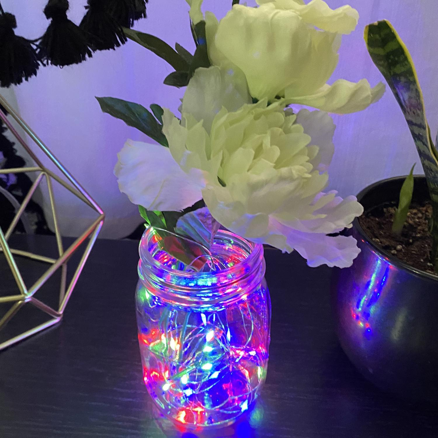 Feit LED Fairy String Lights Multicolored 30 ft. 100 lights