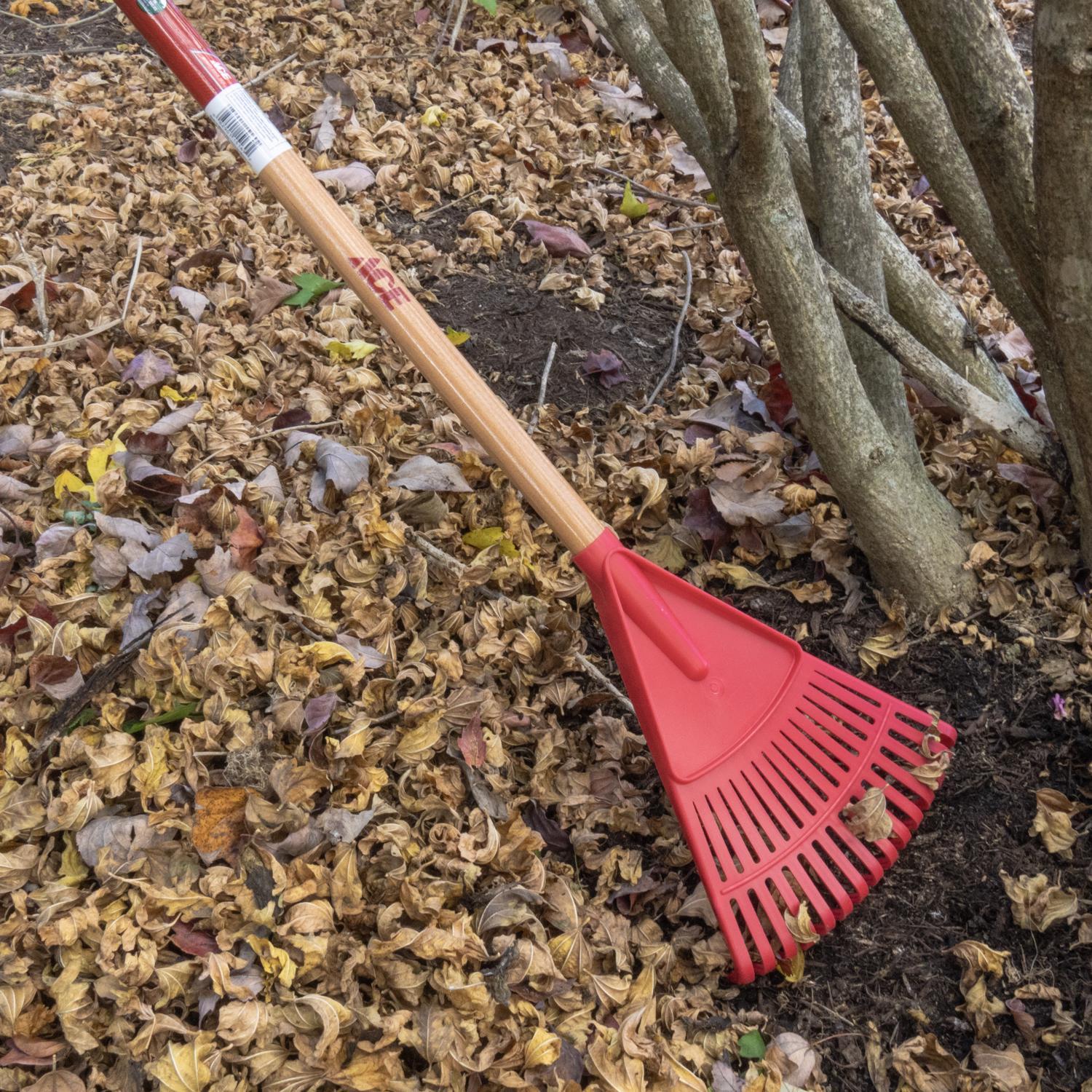 Ace 54.5 in. 14 Tine Poly Rake Wood Handle