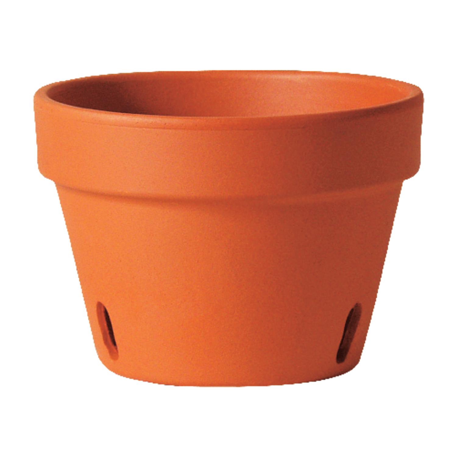 Deroma 5.8 in. H X 8.3 in. W X 8.3 in. D X 8.3 in. D Clay Orchid Pot Terracotta