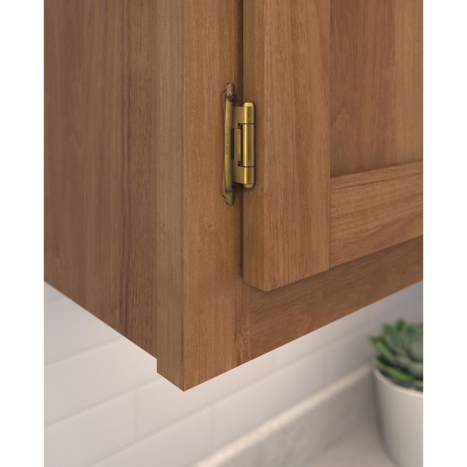 Amerock 2-1/8 in. W X 2-3/4 in. L Antique Brass Steel Self-Closing Hinge 2 pk