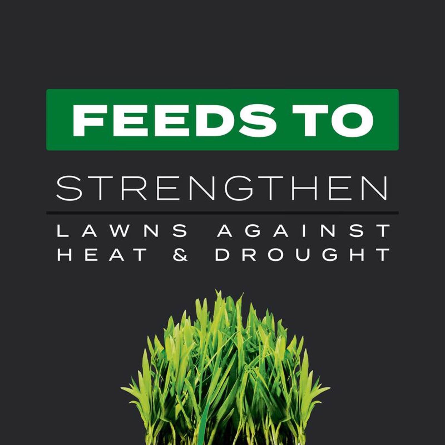 Scotts Turf Builder Southern Weed & Feed Lawn Fertilizer For Multiple Grass Types 4000 sq ft