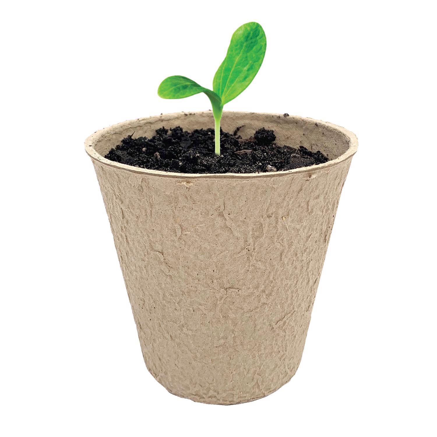 Ferry-Morse 23 Cells 2 in. H X 2.25 in. W X 2.25 in. L Seed Starting Peat Pot 23 pk
