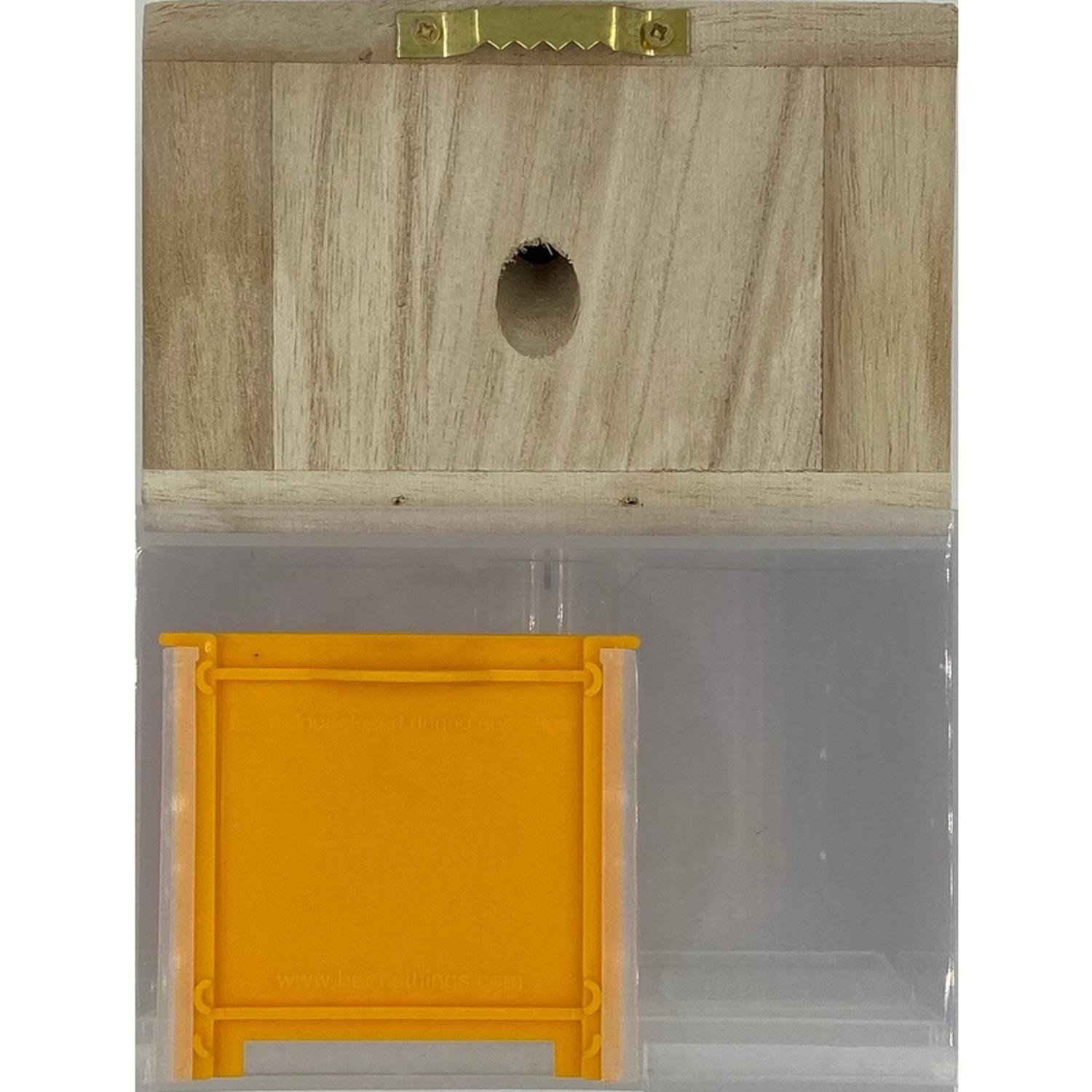 Bees N Things Carpenter Bee Trap