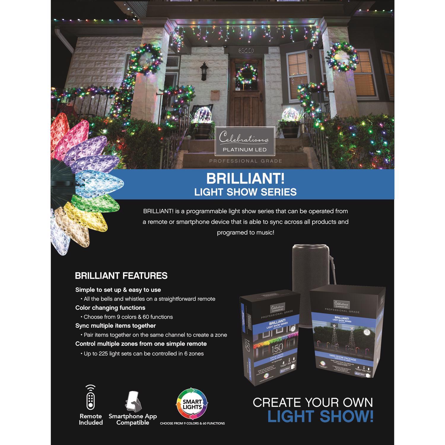 Celebrations Platinum LED RGBW 65 ct Smart-Enabled Christmas Lights Add On