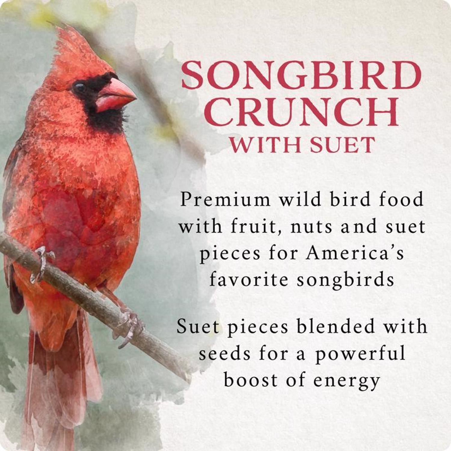 Songbird Selections Songbird Crunch Wild Bird Food 10 lb