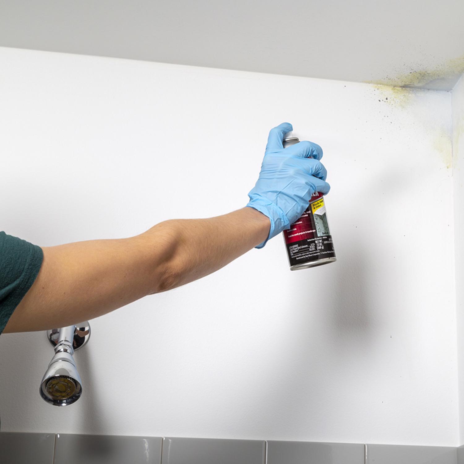 Zinsser Mold Blocking White Water-Based Alkyd Spray Primer 13 oz