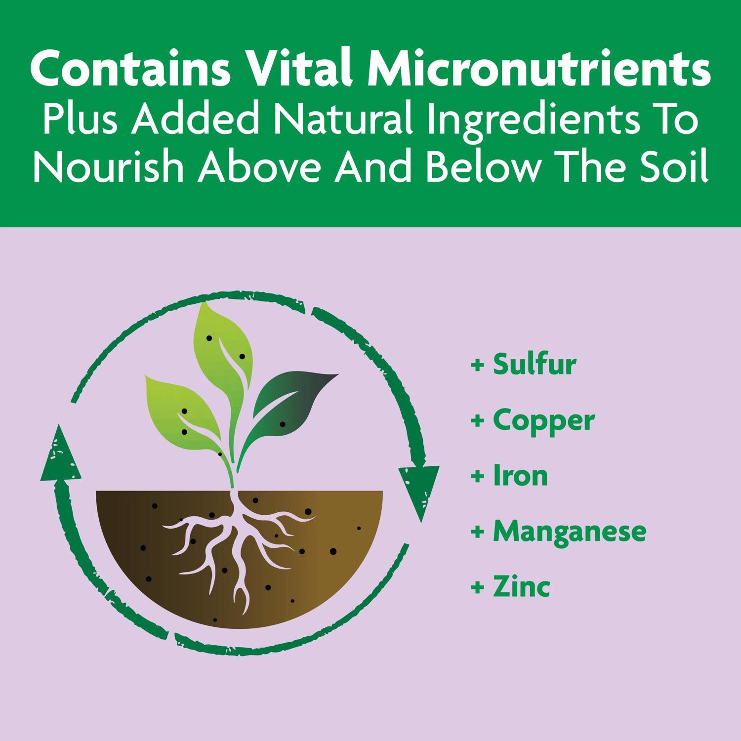 Miracle-Gro Shake 'n Feed Granules Plant Food 4.5 lb