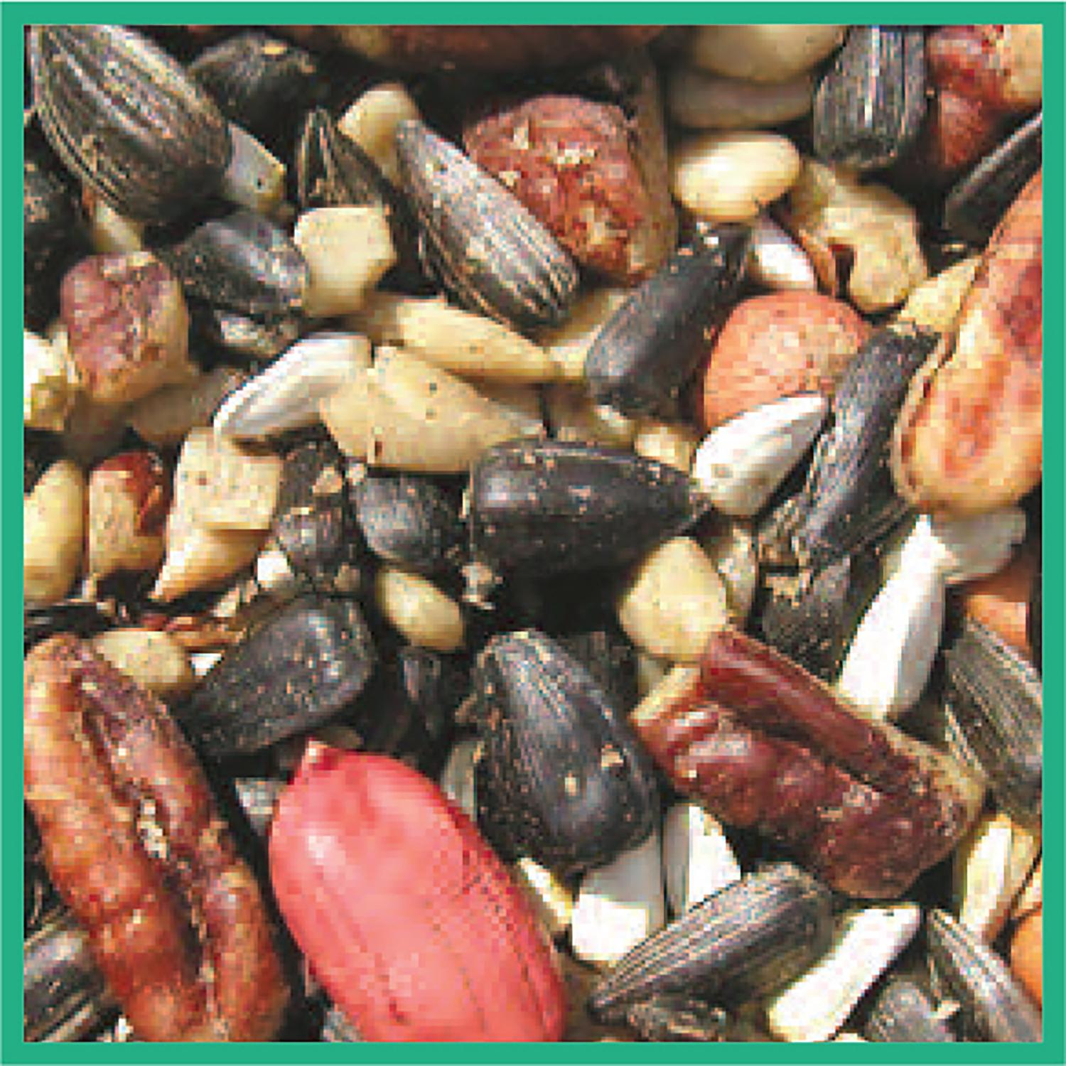 Cole's Special Feeder Assorted Species Black Oil Sunflower Wild Bird Food 20 lb