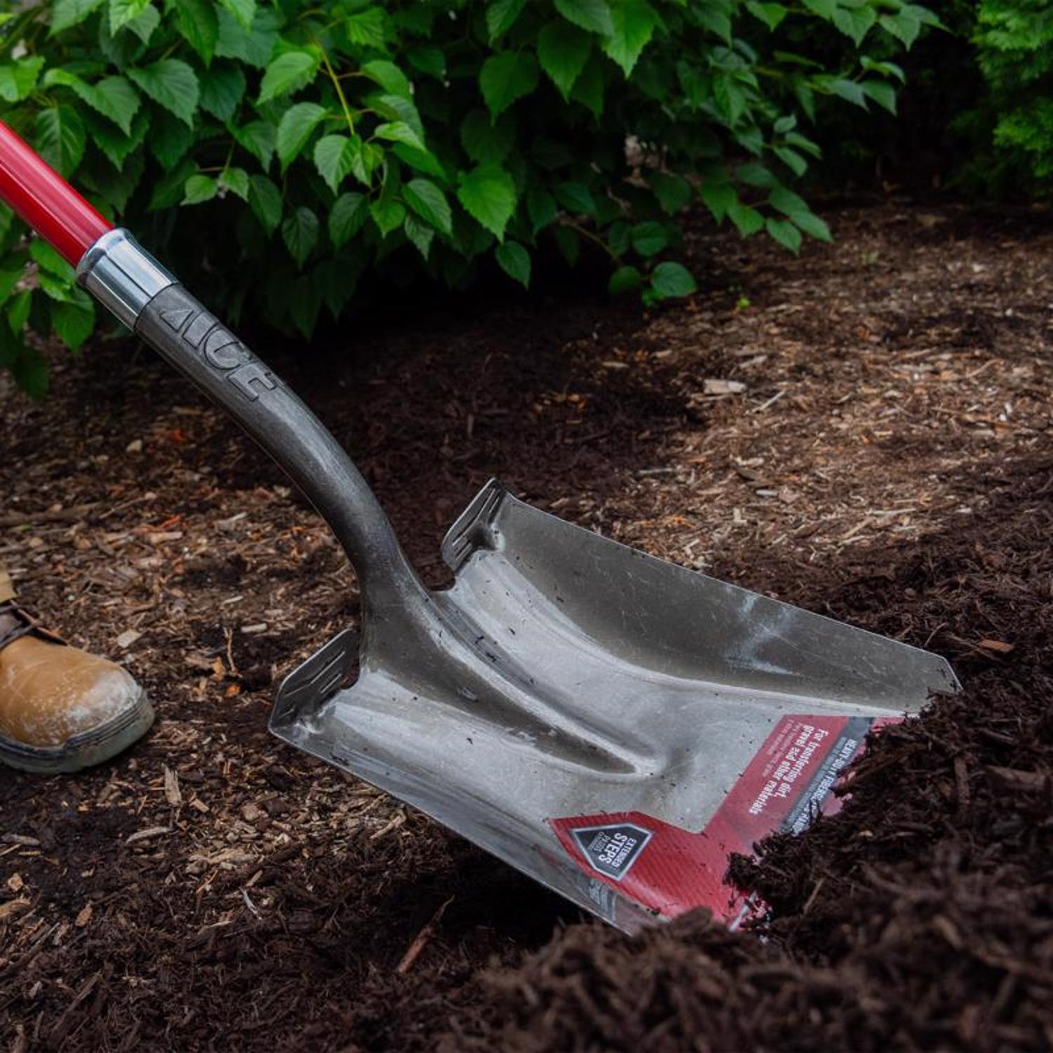 Ace 58 in. Steel Square Transfer Shovel Fiberglass Handle