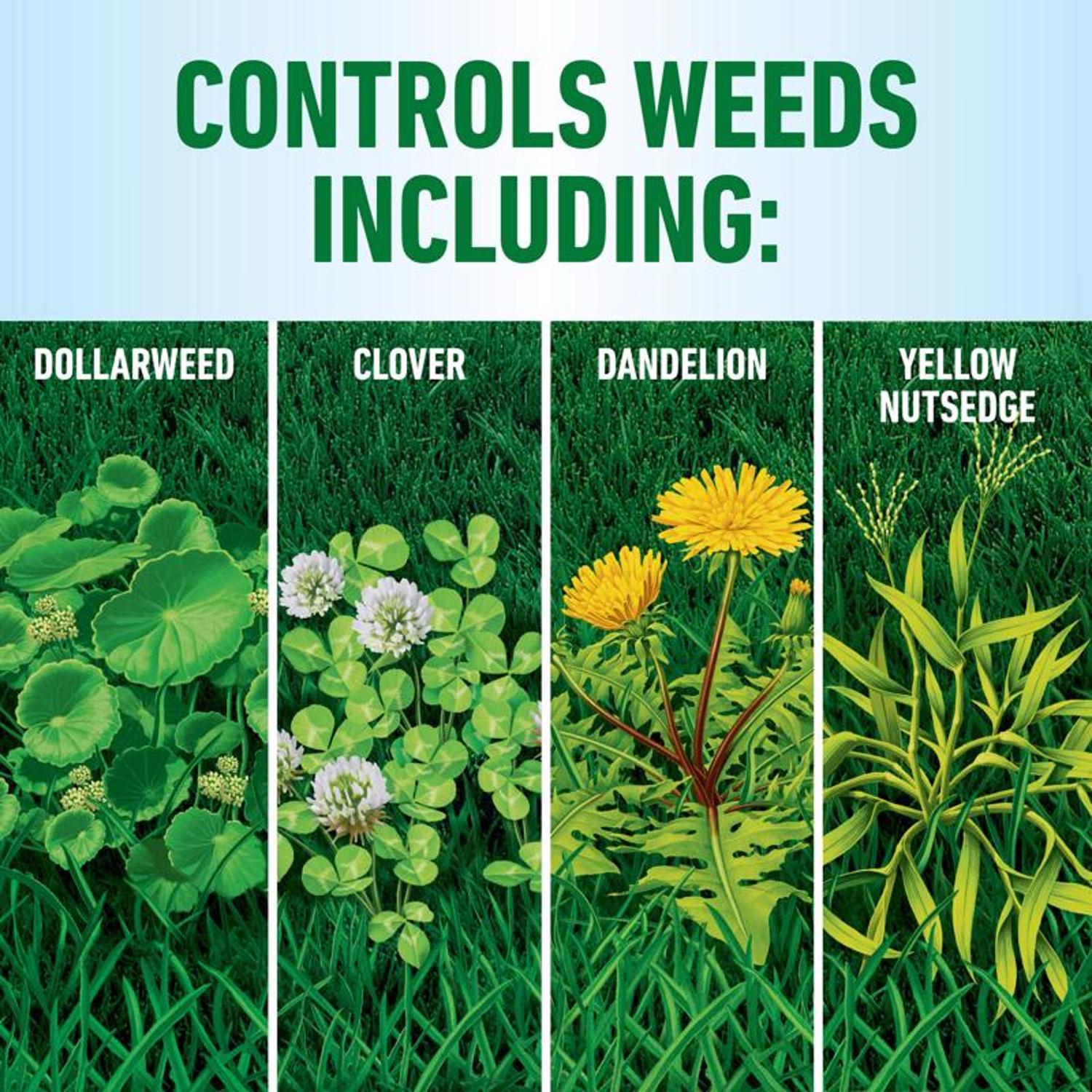 Roundup Weed Killer Refill RTU Liquid 1 gal