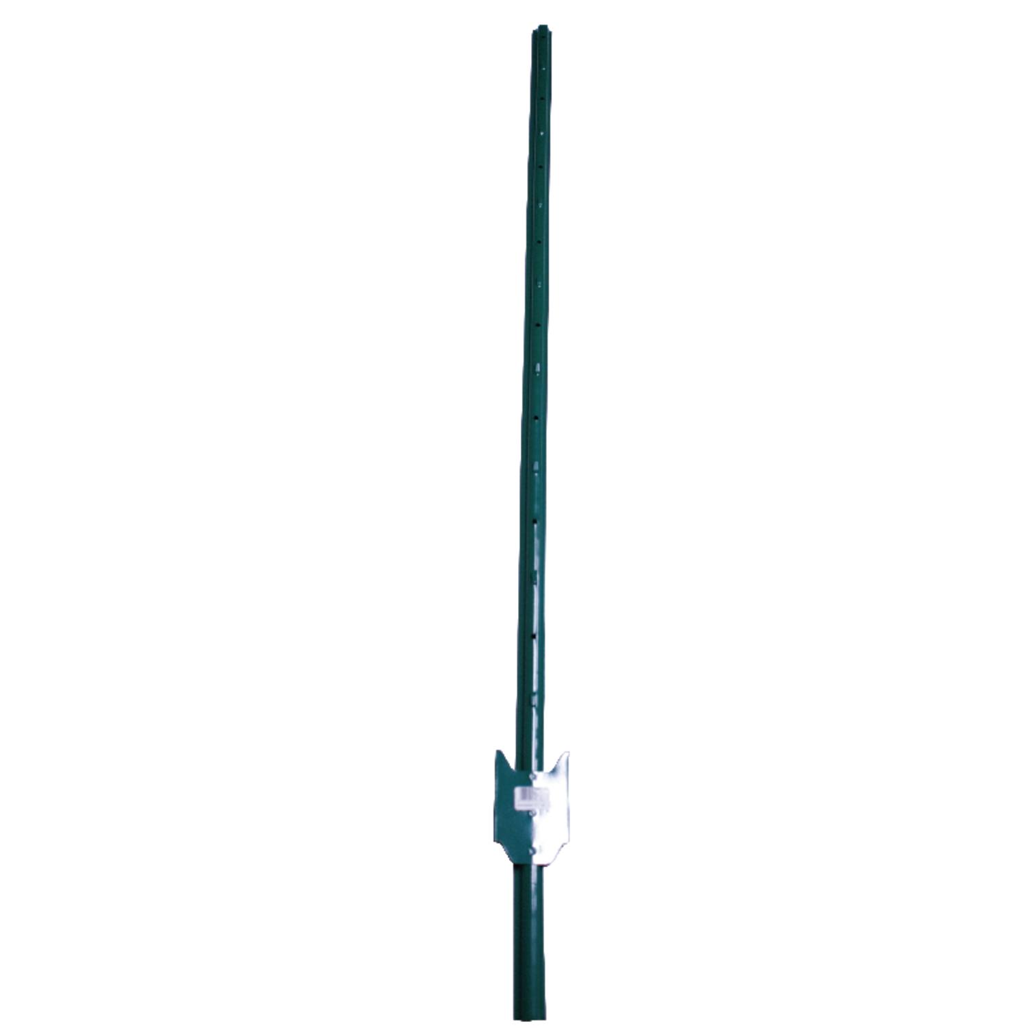 American Posts.5 in. H X 1.25 in. W X 6 ft. L 14 Ga. Powder Coated Green Steel U-Post