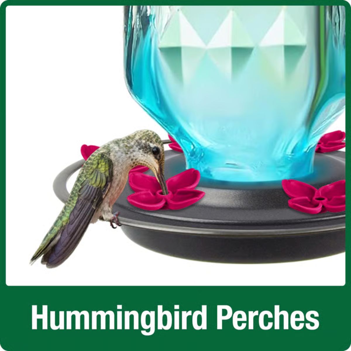 Nature's Way Hummingbird 23 oz Glass Bird Feeder 6 ports