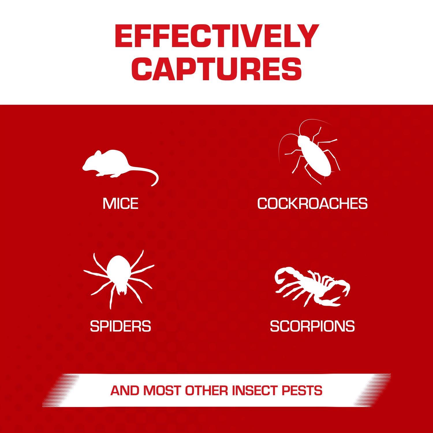 Tomcat Small Glue Trap For Mice 4 pk