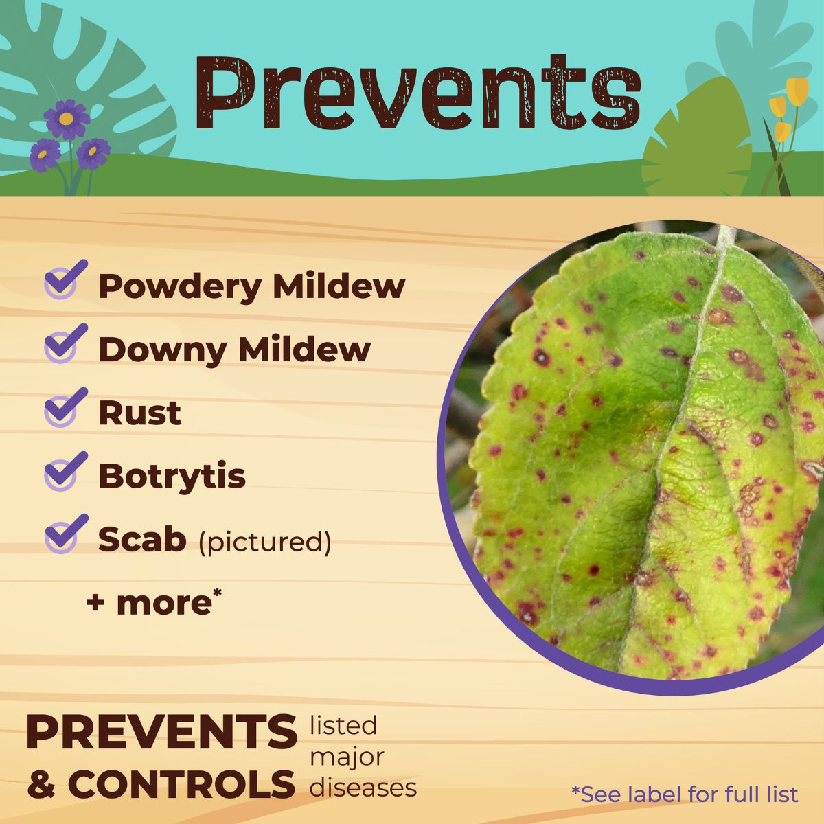 Bonide Captain Jack's Neem Max 32 oz.