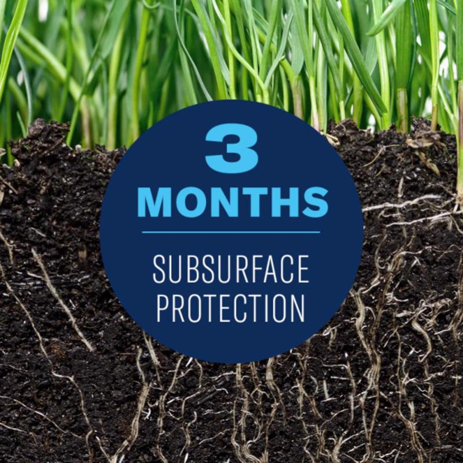 BioAdvanced Complete Insect Killer for Soil & Turf Granules 10 lb