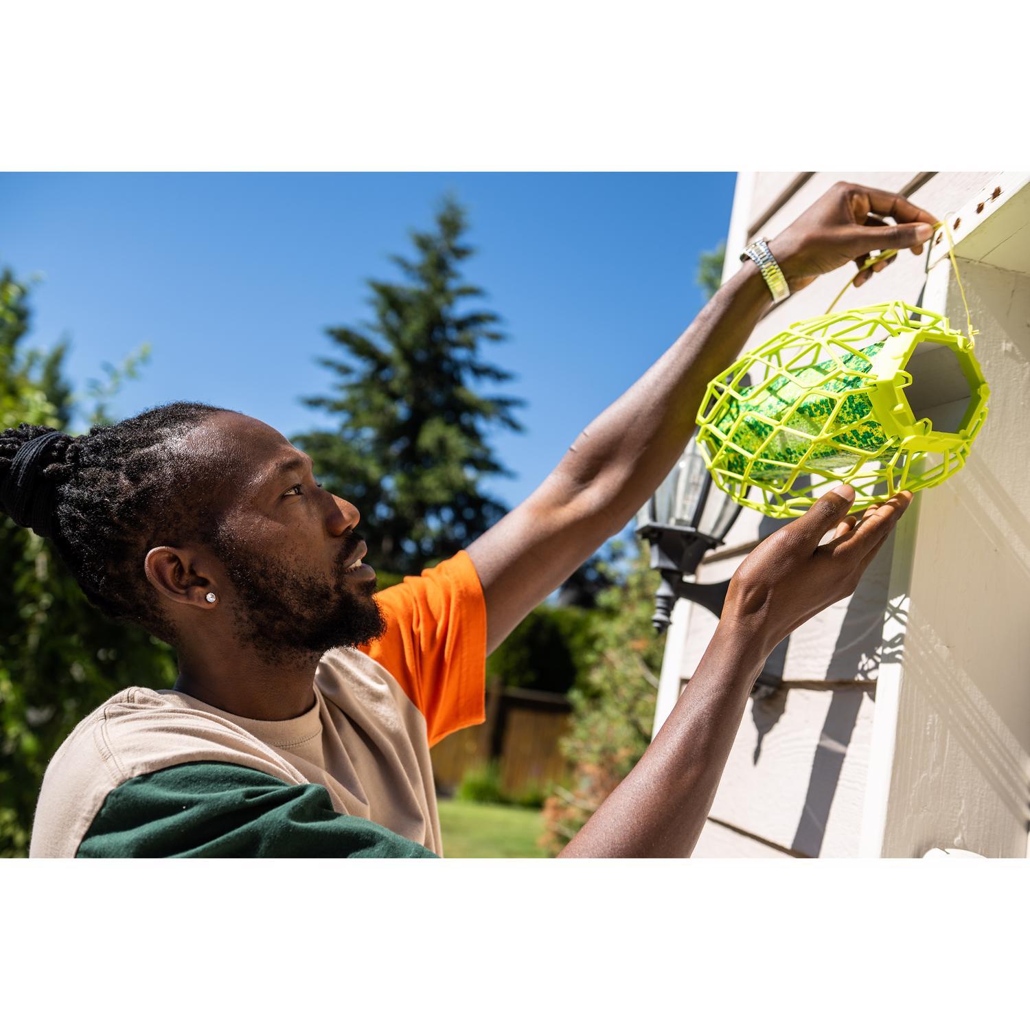 RESCUE TrapStik Insect Trap 1 pk