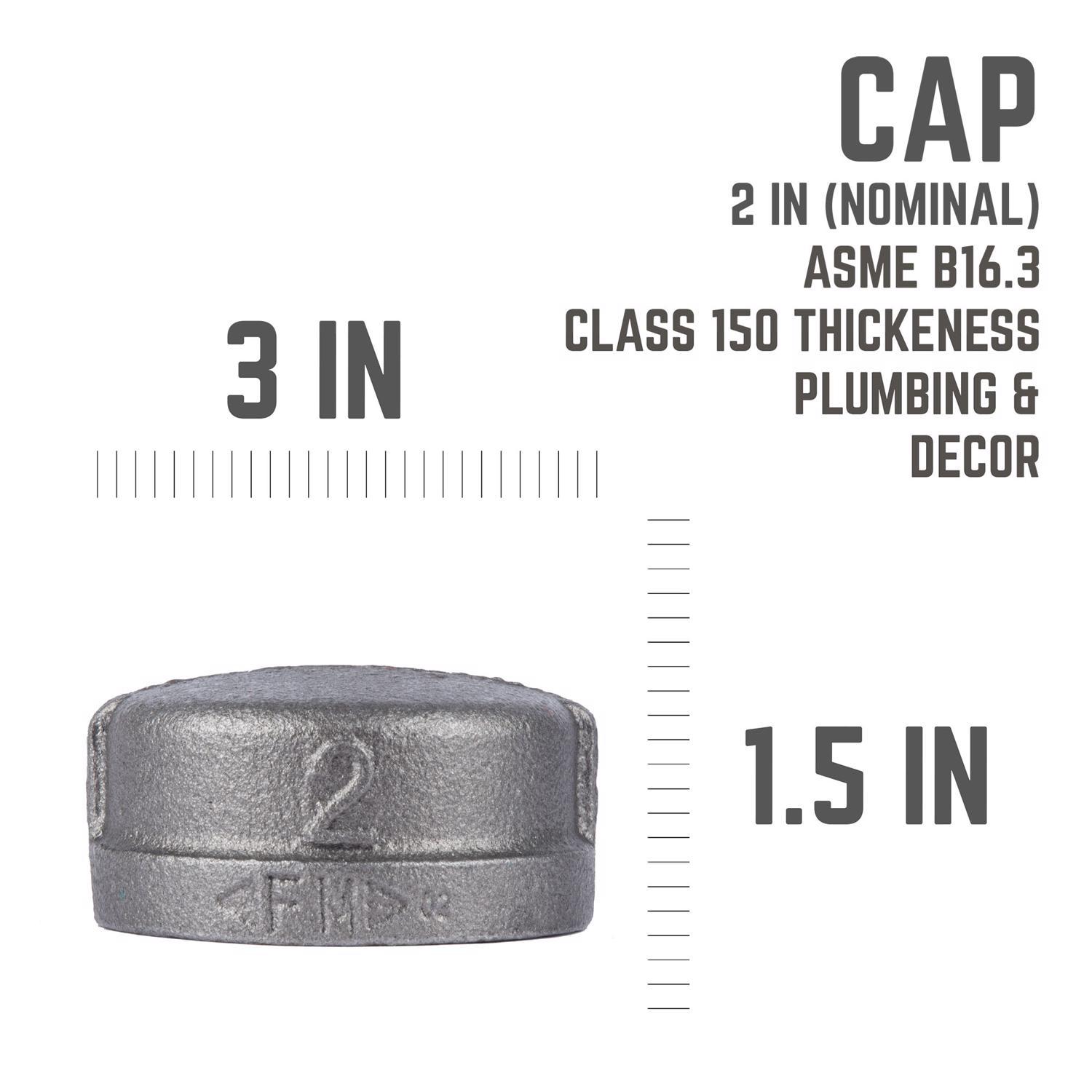 STZ Industries 2 in. FIP each Black Malleable Iron Cap