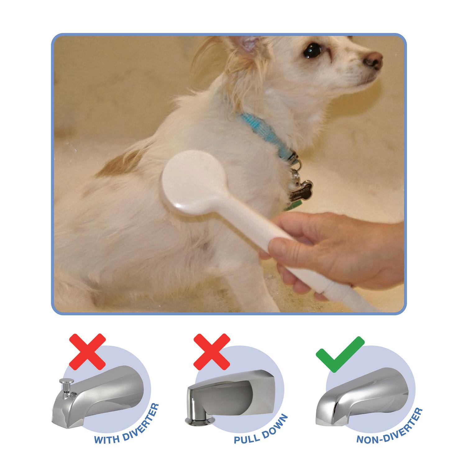 Danco White Plastic 1 settings Handheld Showerhead 2.2 gpm