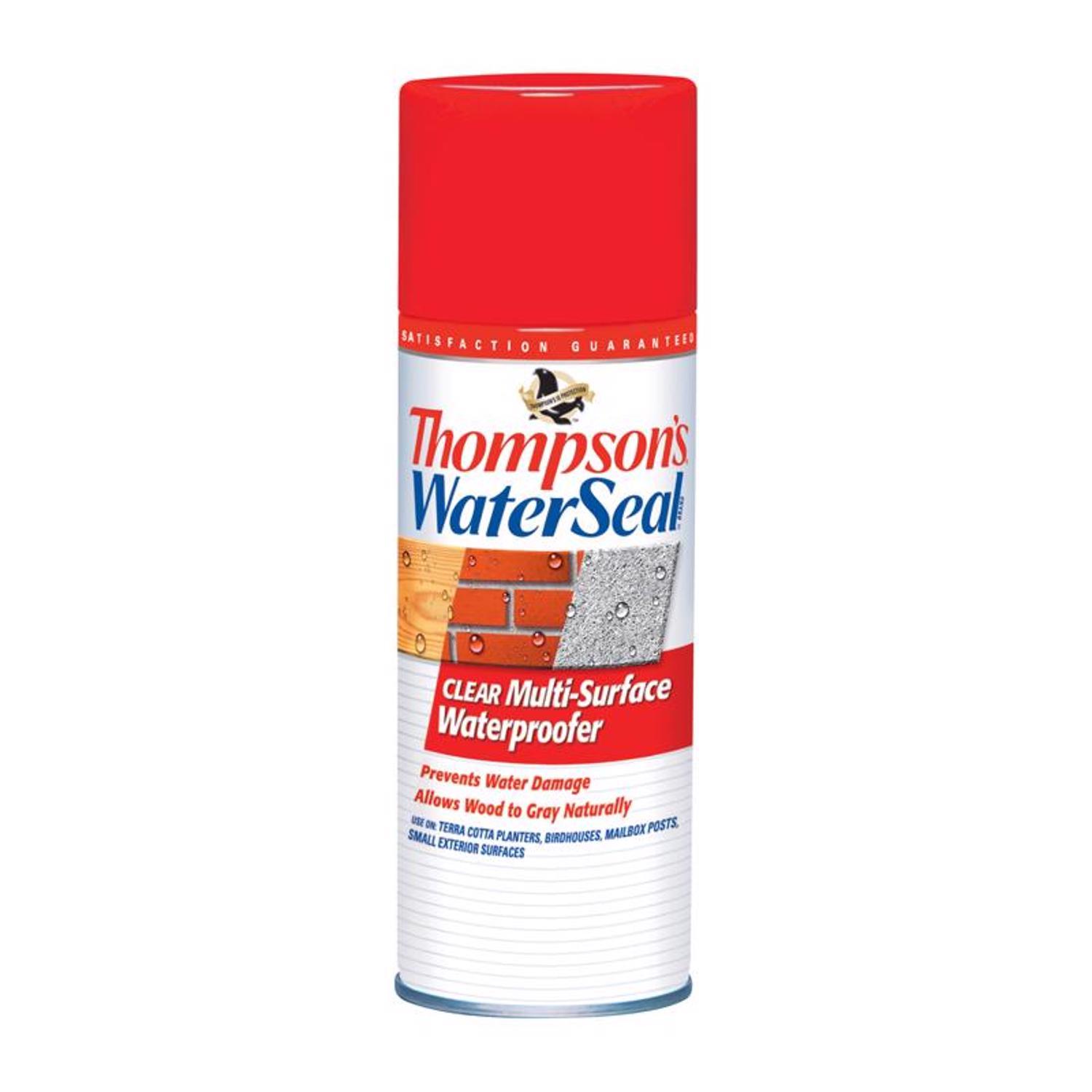 Thompson's WaterSeal Clear Fully-Transparent Water-Based Multi-Surface Waterproofer 12 oz