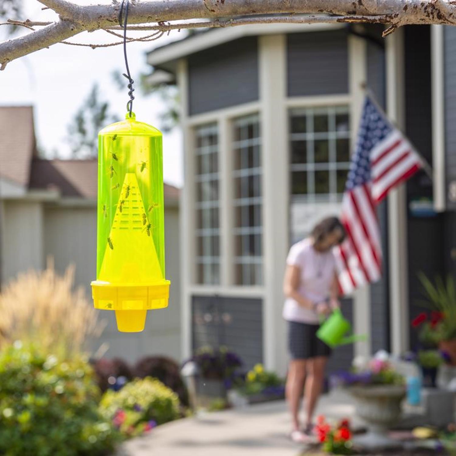 RESCUE Yellow Jacket Trap