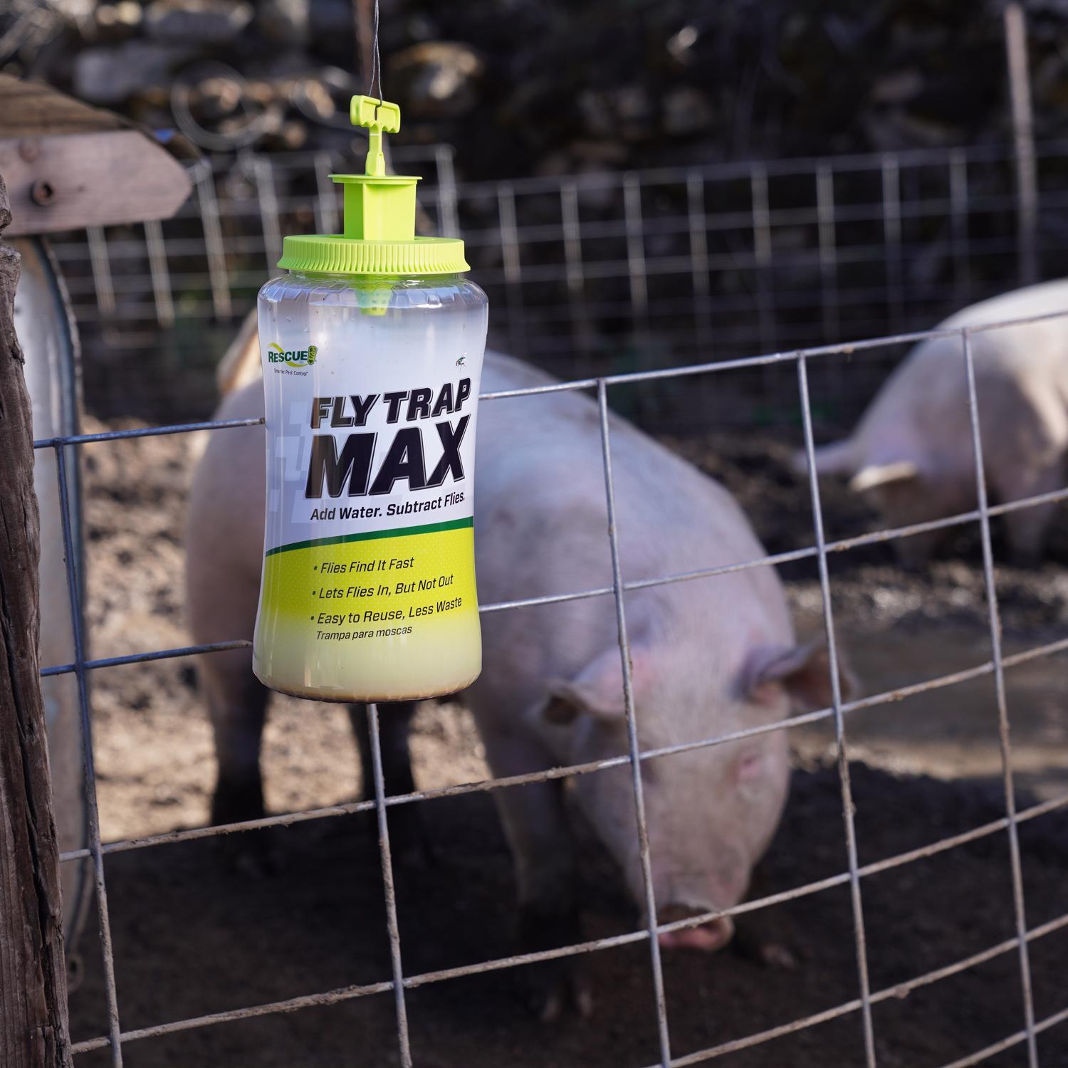 RESCUE! Max Fly Trap 1 pk