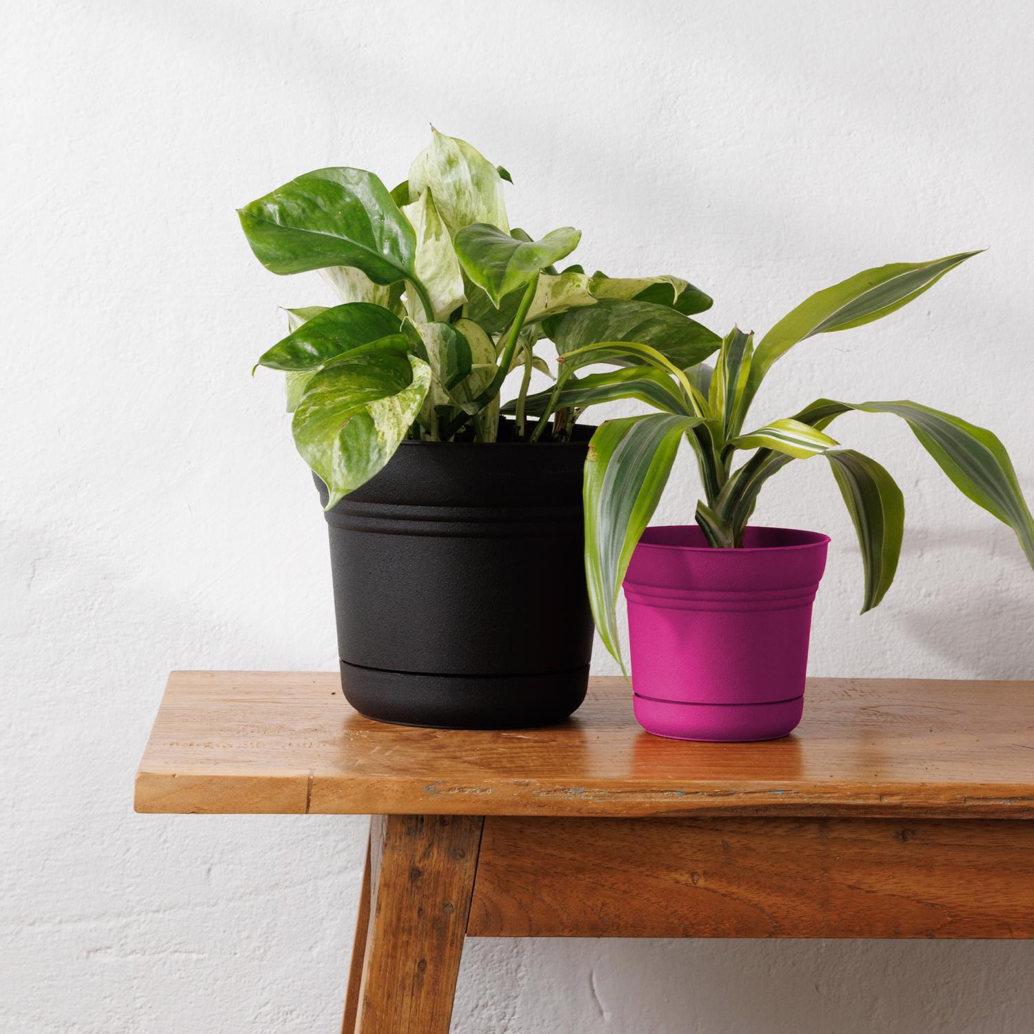 Bloem Saturn 6.5 in. H X 7.25 in. W Plastic Traditional Planter Black