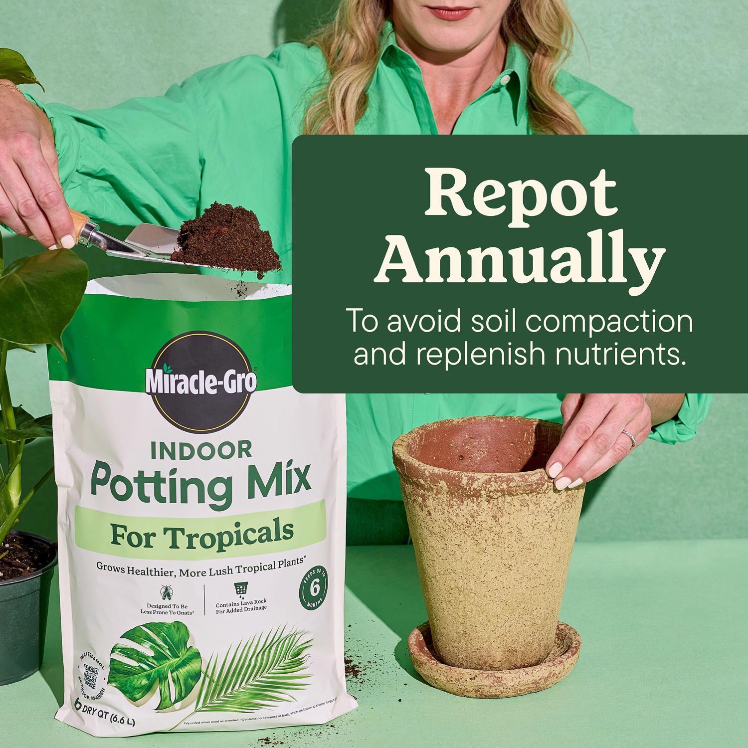 Miracle-Gro Tropical Cacti, Citrus and Palm Potting Mix 6 qt