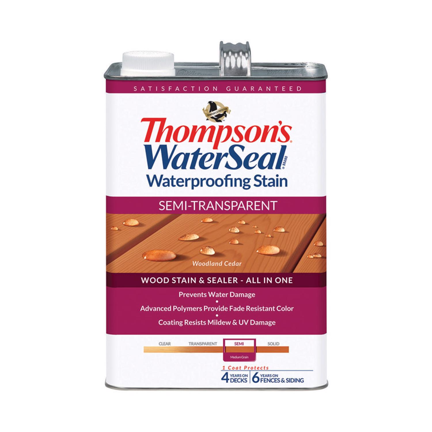 Thompsons Water Seal Reviews