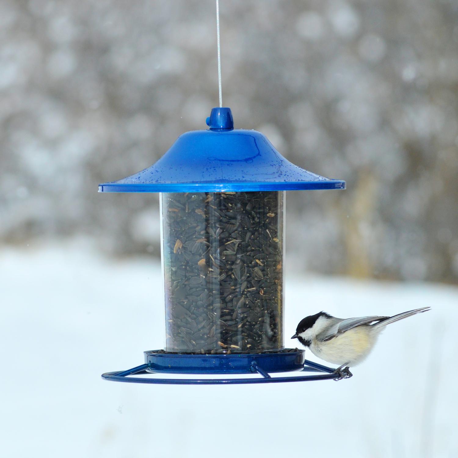 Perky-Pet Wild Bird 2 lb Metal/Plastic Panorama Bird Feeder 1 ports