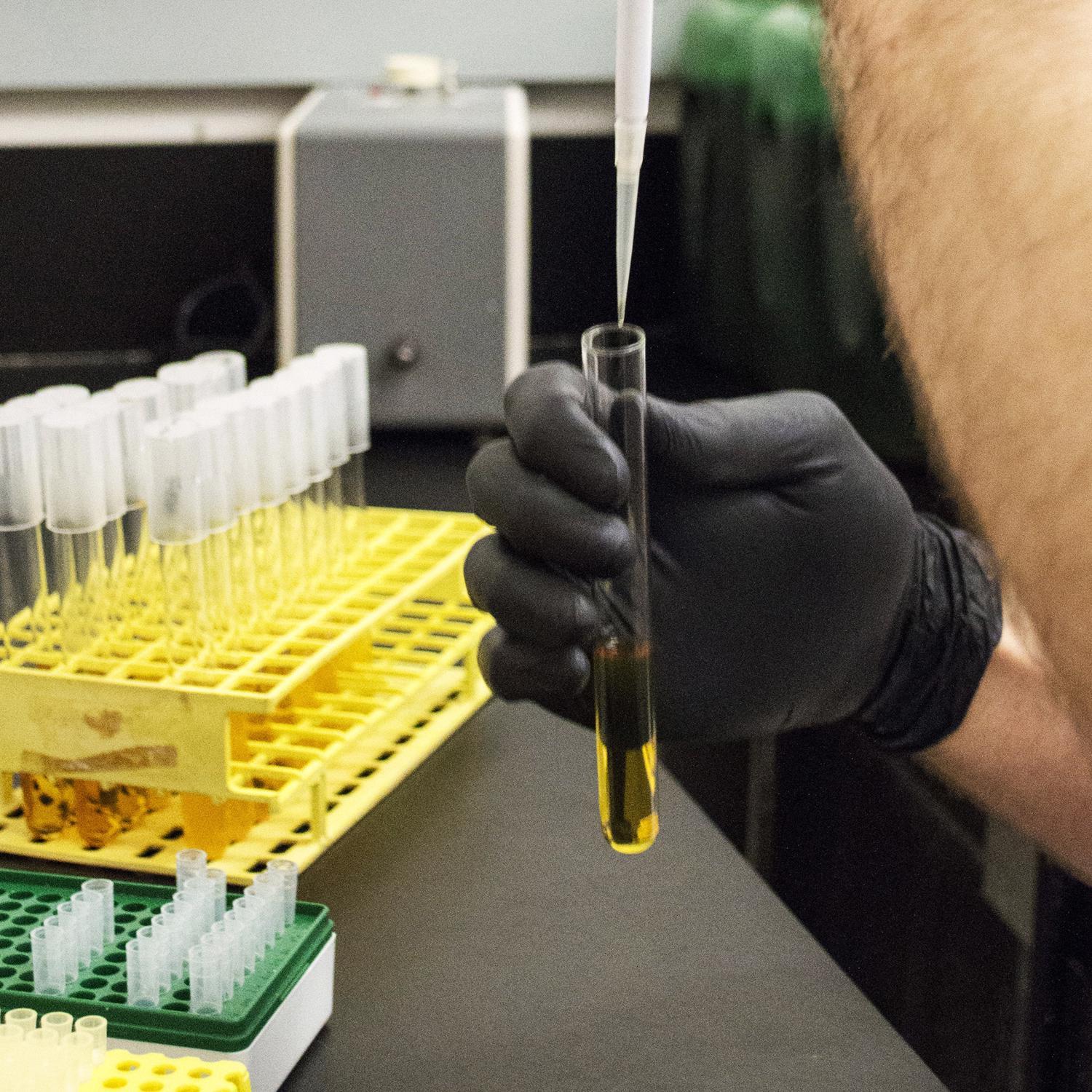 AMMEX Professional Nitrile Disposable Exam Gloves Medium Black Powder Free 100 pk