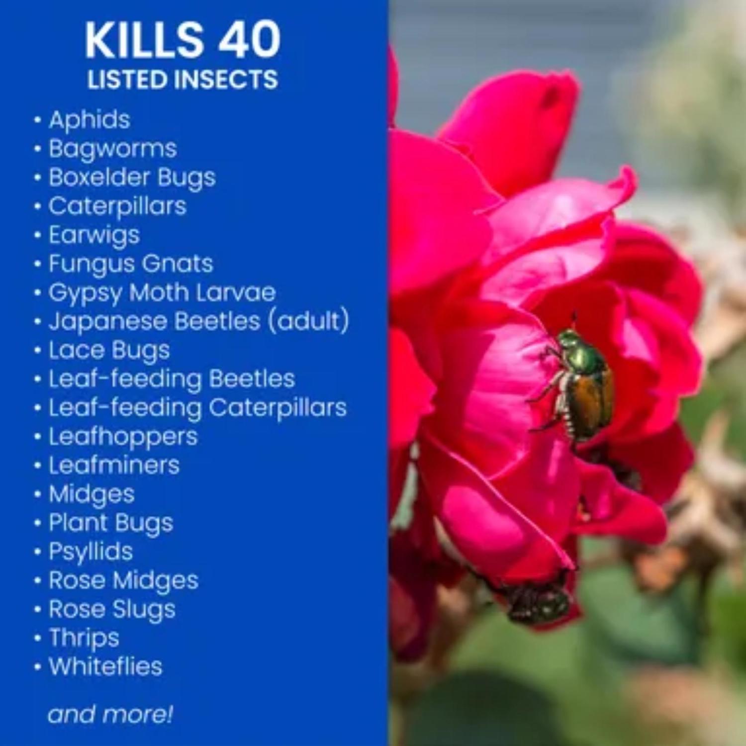 BioAdvanced Ready-to-Use, Dual Action Rose and Flower Insect Killer Liquid 24 oz