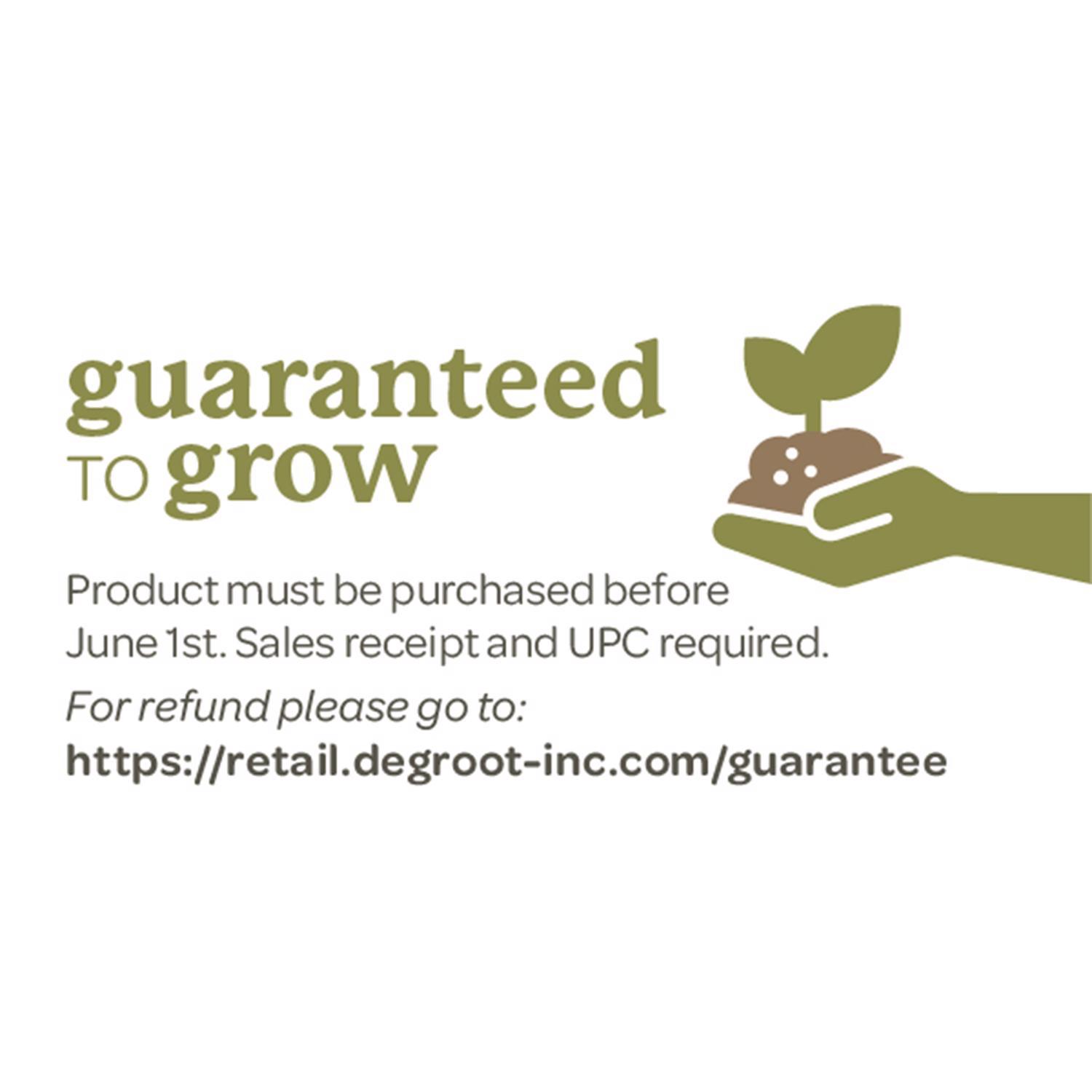 DeGroot Platinum Performers Russet Norkotah Potato Seeds 6 pk