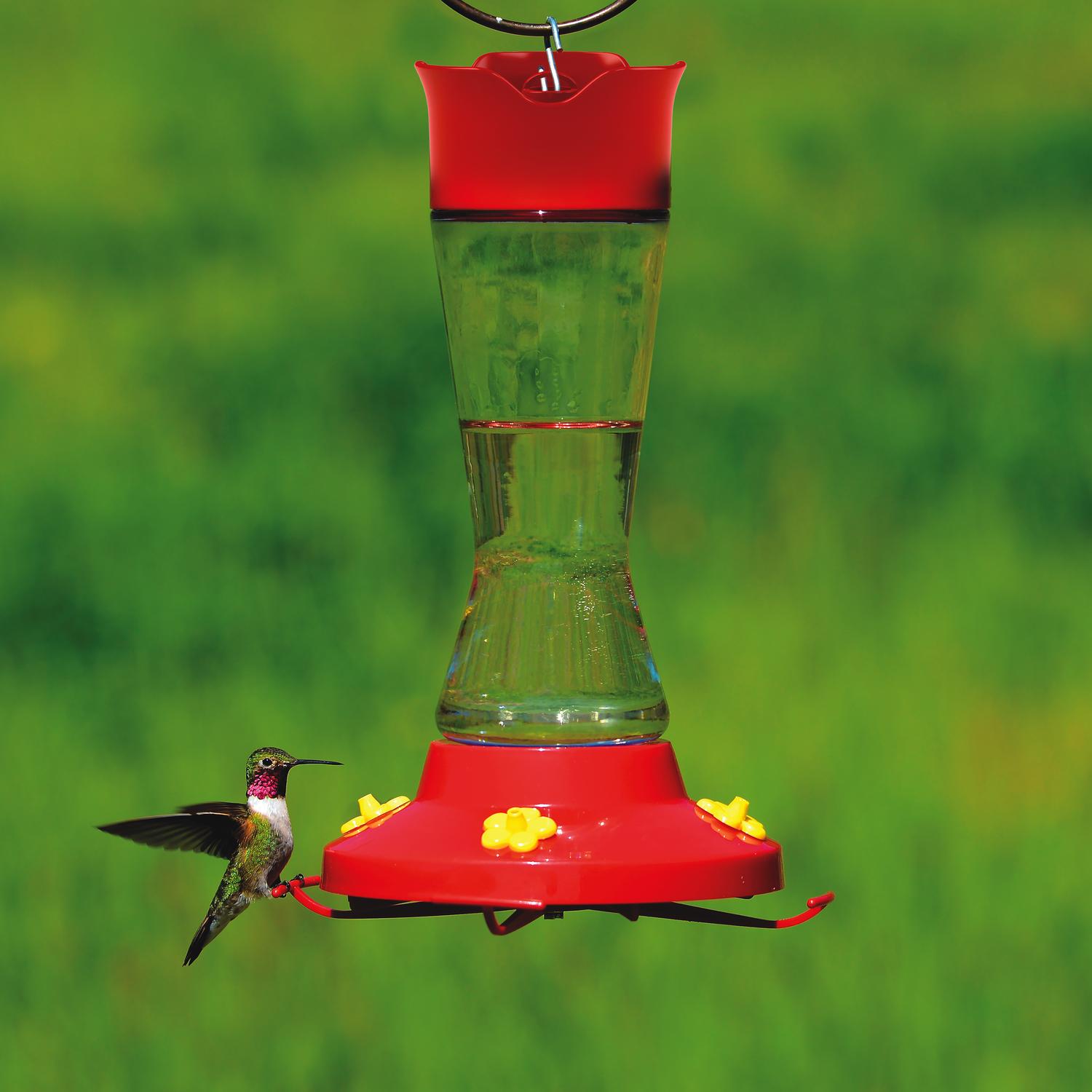 Perky-Pet Hummingbird 16 oz Glass/Plastic Pinch Waist Nectar Bird Feeder 4 ports