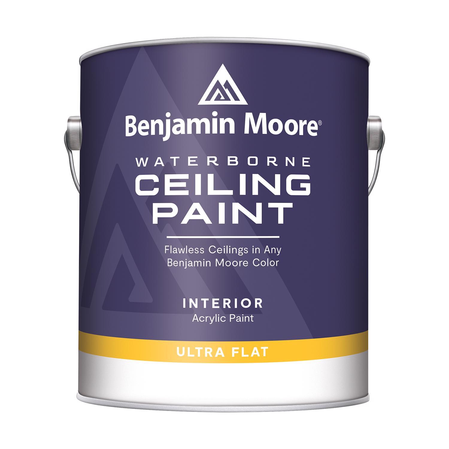 Benjamin Moore Flat Base 1 Ceiling Paint Interior 1 gal