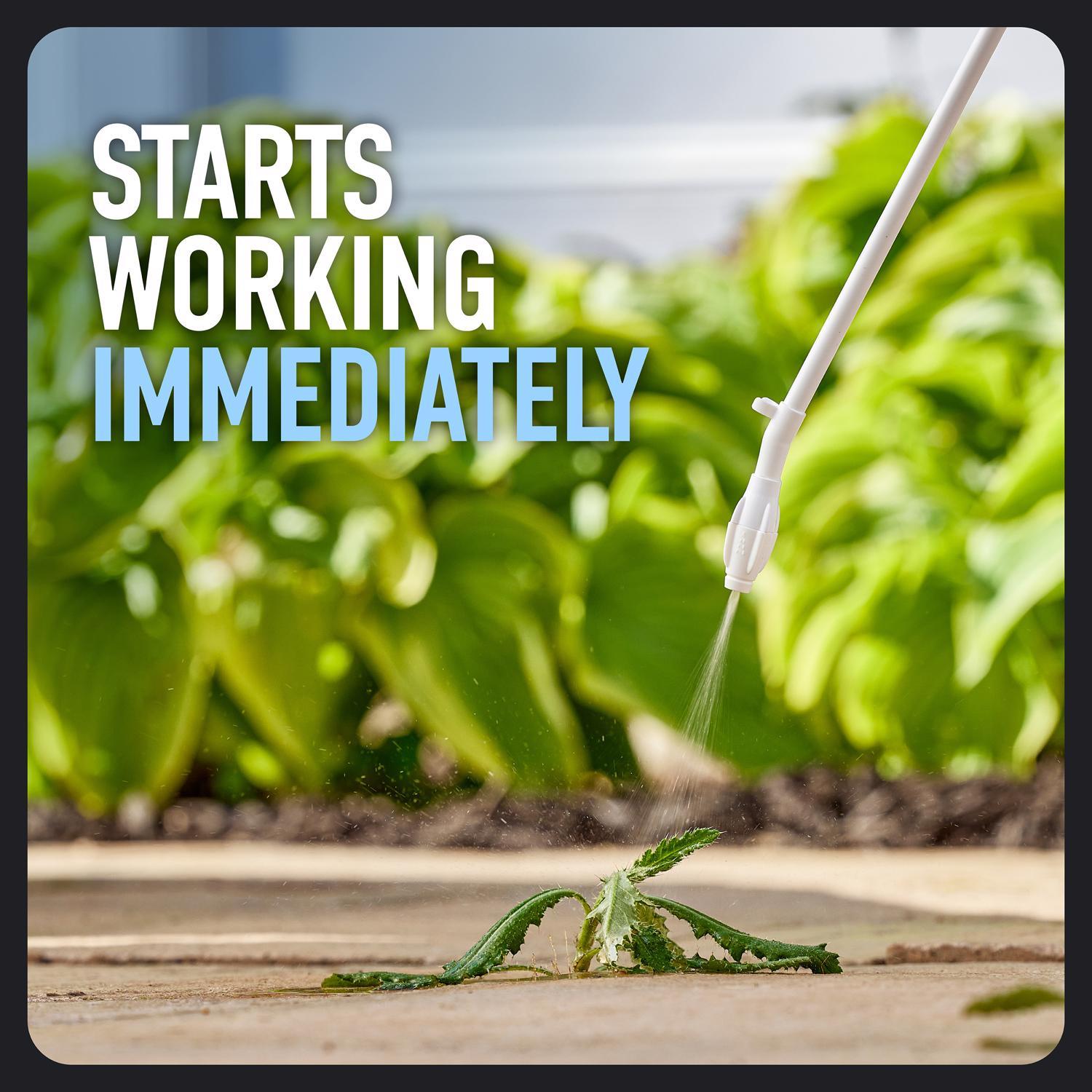Roundup Weed and Grass Killer RTU Liquid 1 gal