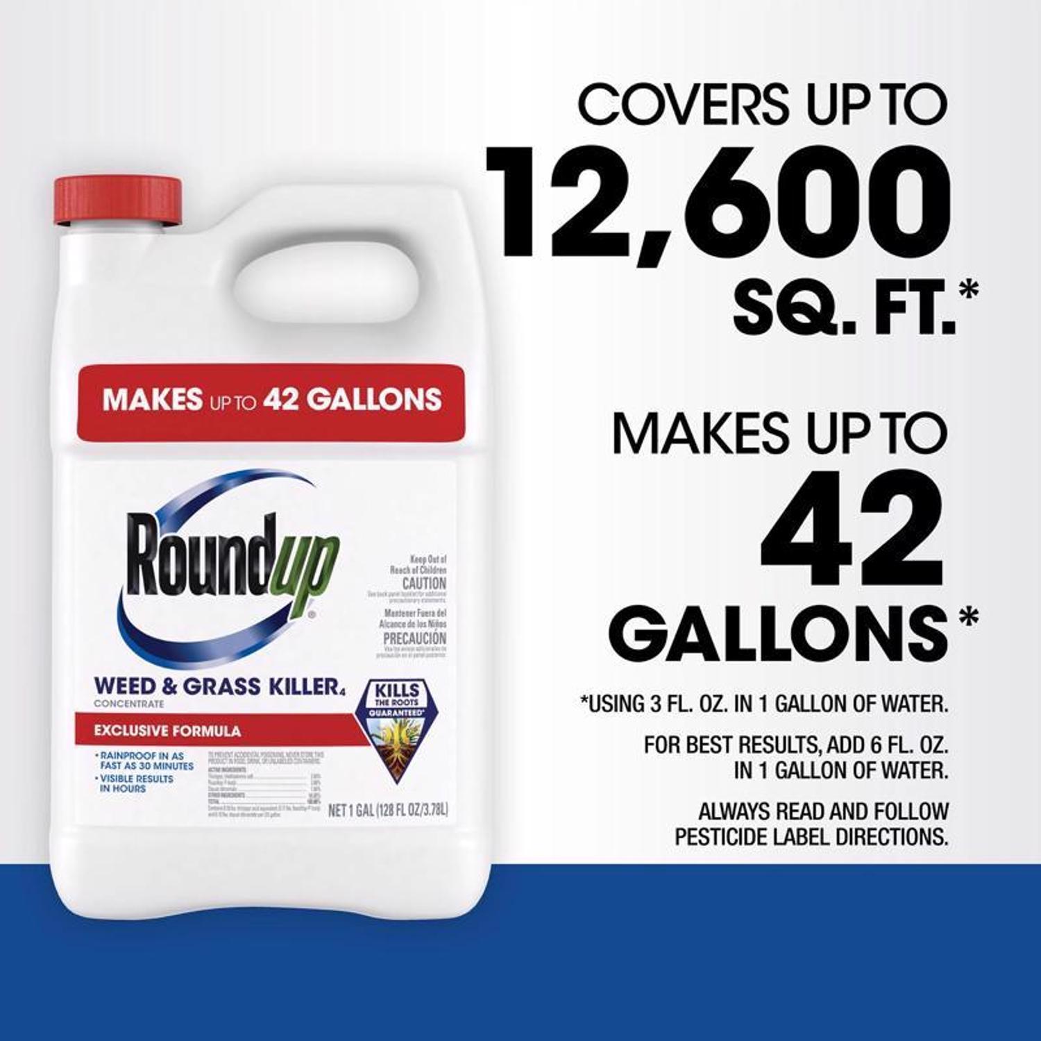 Roundup Weed and Grass Killer Concentrate 1 gal
