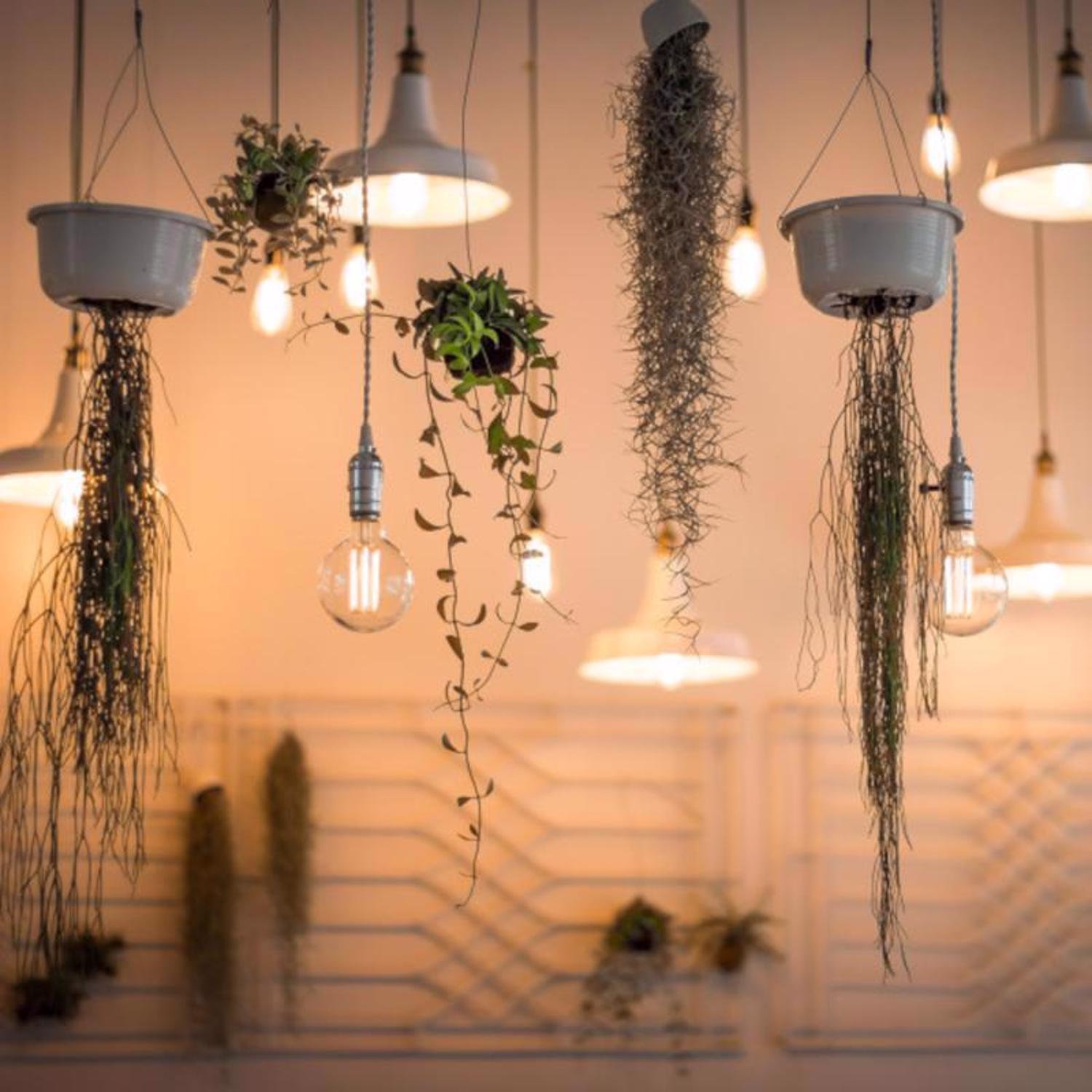 Feit G25 E26 (Medium) Filament LED Bulb Soft White 100 Watt Equivalence 1 pk