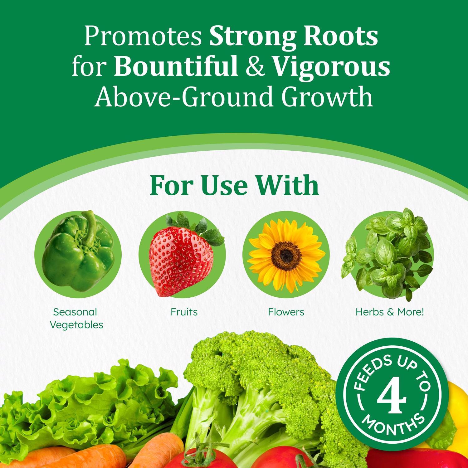 Osmocote Smart-Release Flower & Vegetable Granules Plant Food 1 lb