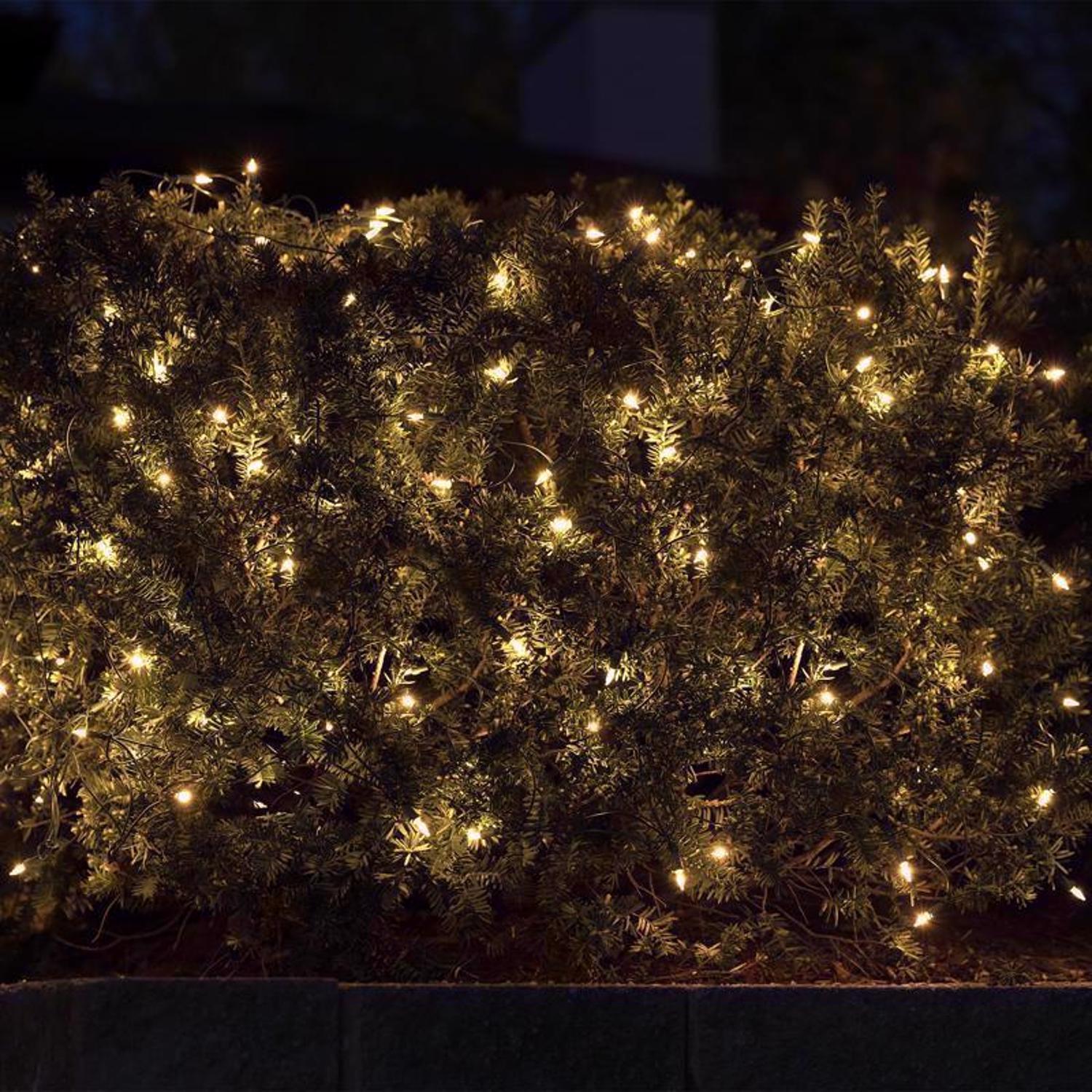 Celebrations Classic LED T5 Warm White 100 ct Net Christmas Lights 4 ft.