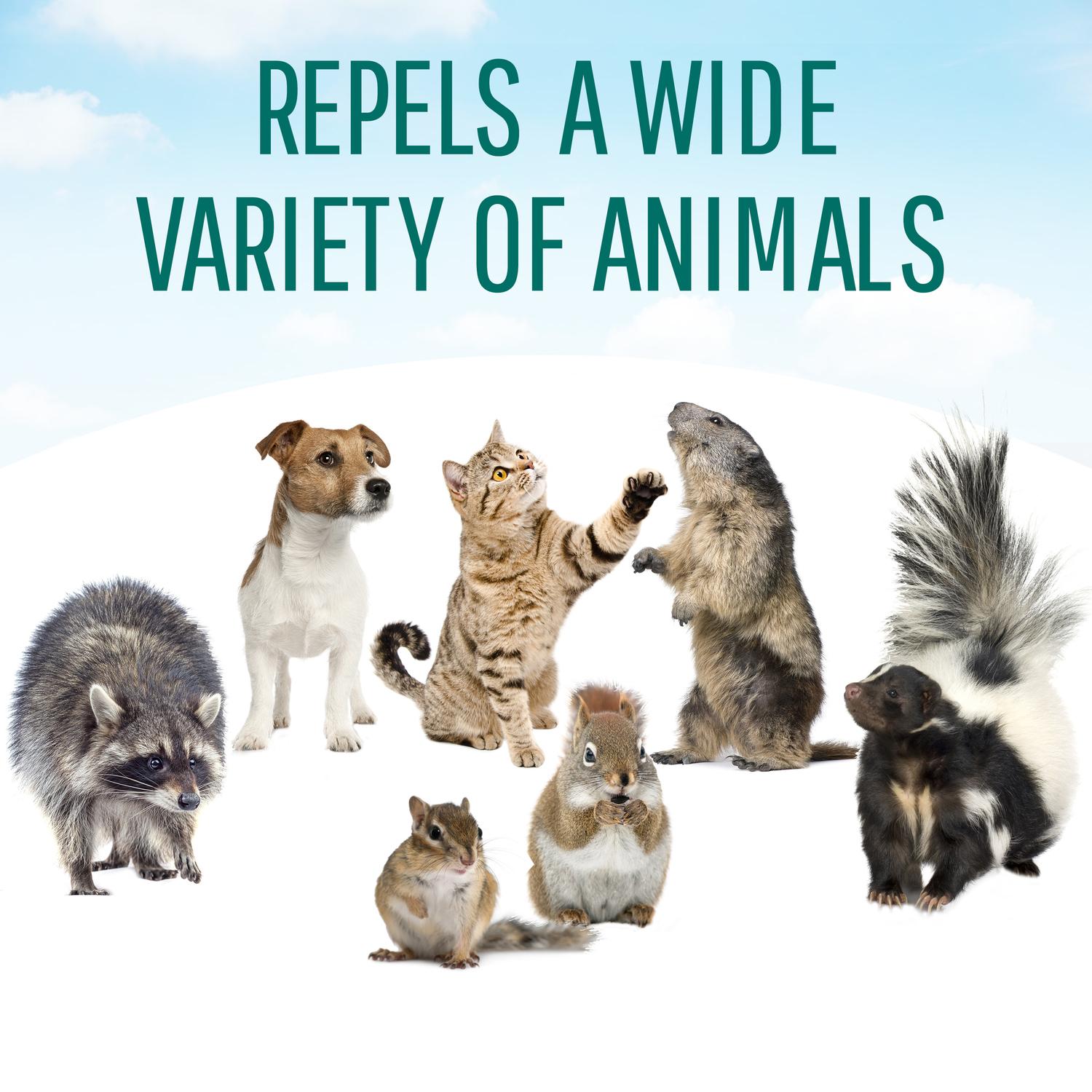 Safer Brand Critter Ridder Animal Repellent Granules For Most Animal Types 2 lb
