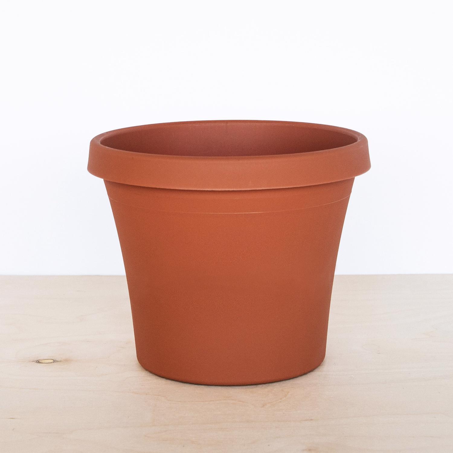 Bloem Terra 5.5 in. H X 6.5 in. W Resin Traditional Planter Terra Cotta