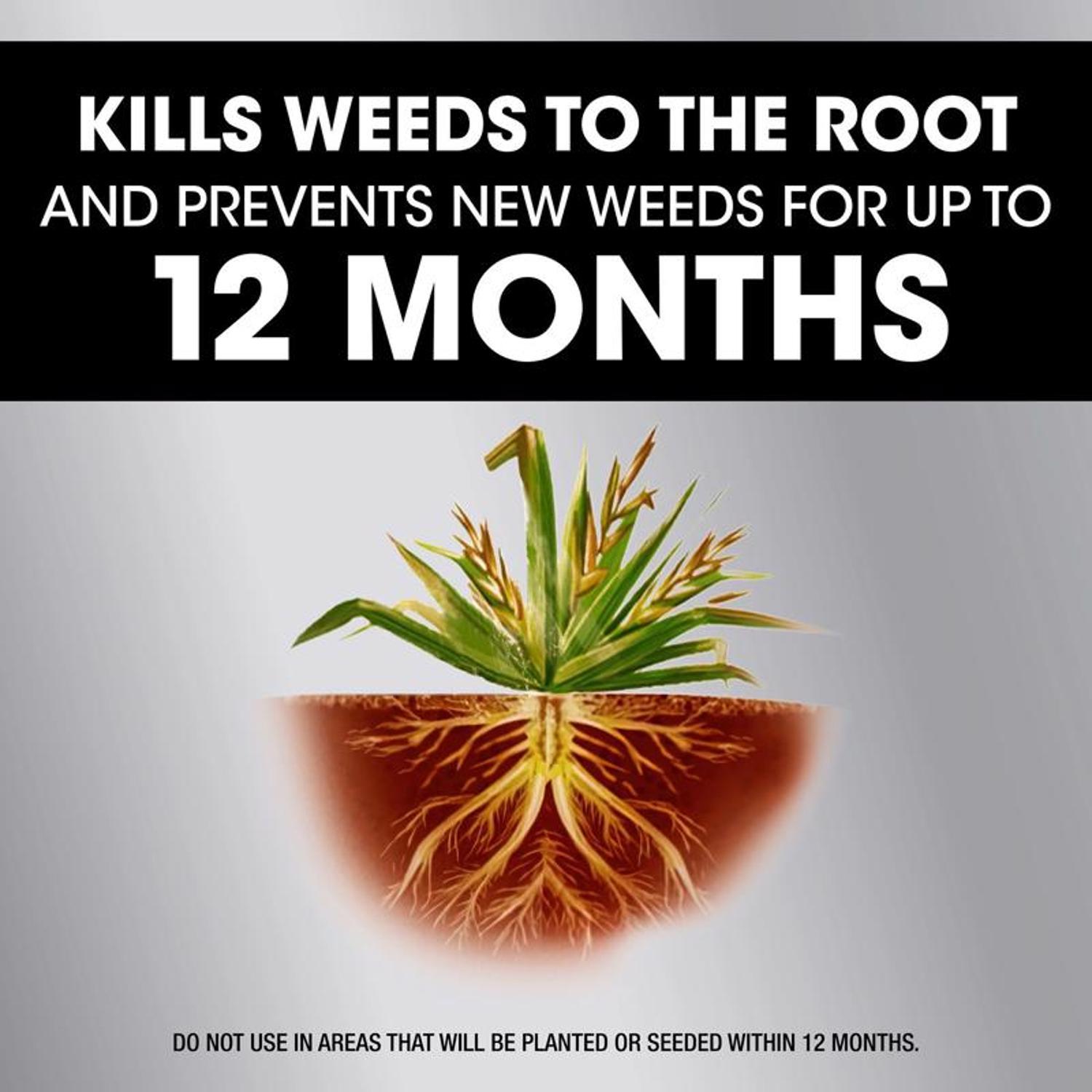 Roundup Weed and Grass Killer RTU Liquid 1 gal